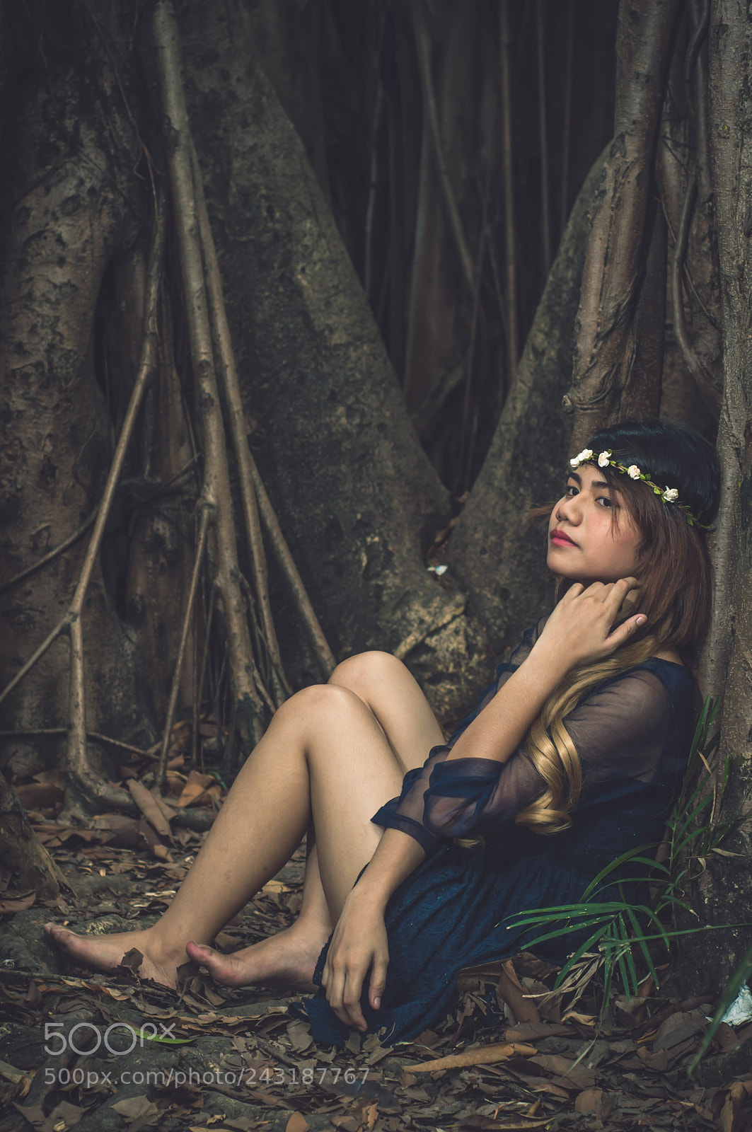 Nikon D90 sample photo. Lost in the woods photography