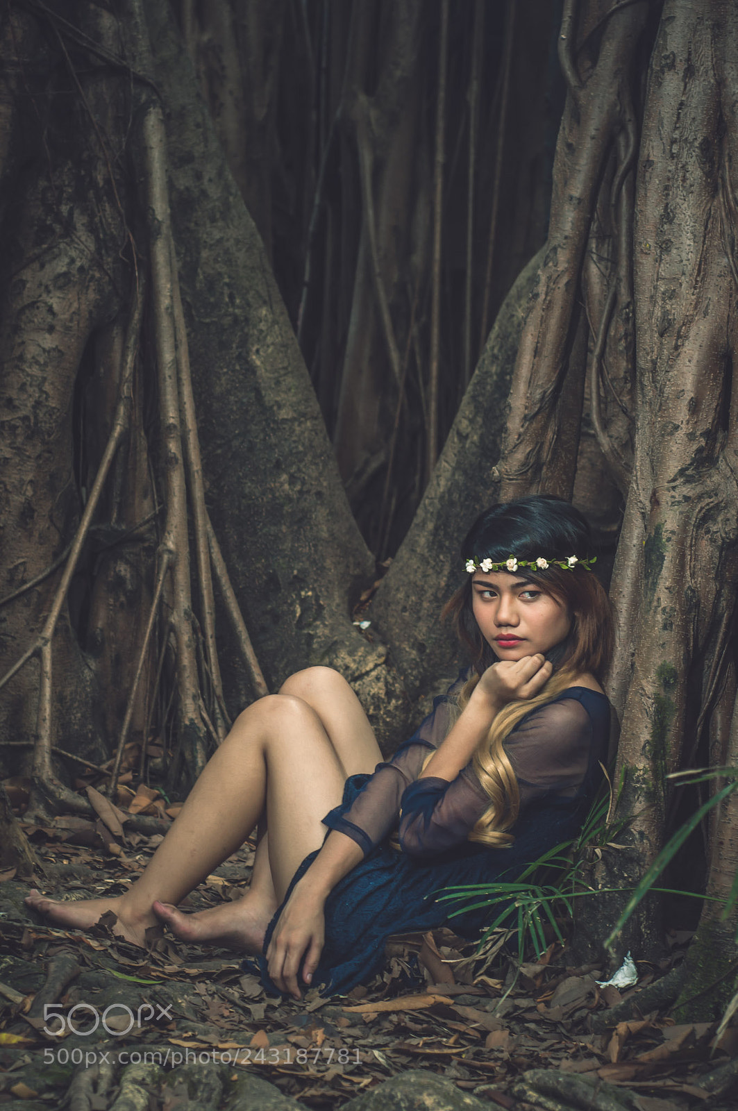 Nikon D90 sample photo. Lost in the woods photography