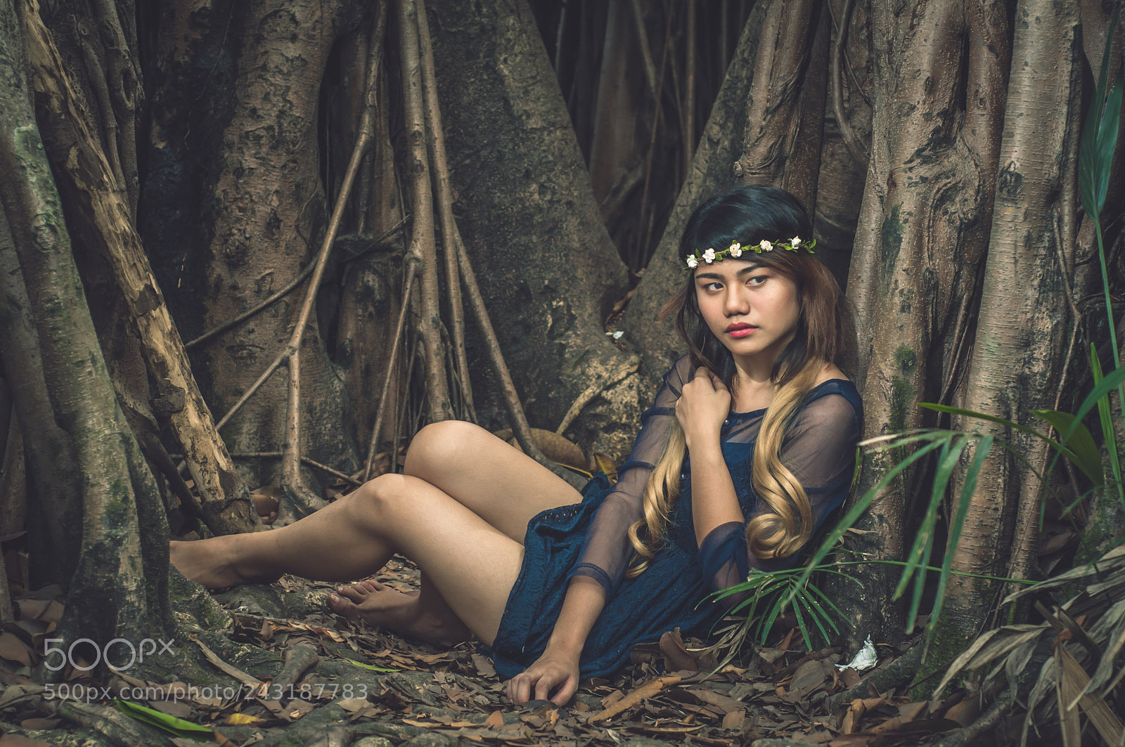 Nikon D90 sample photo. Lost in the woods photography