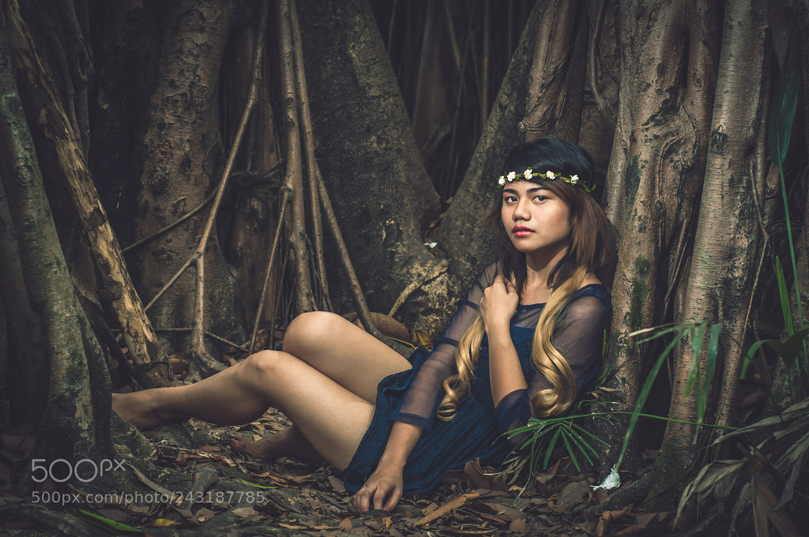 Nikon D90 sample photo. Lost in the woods photography