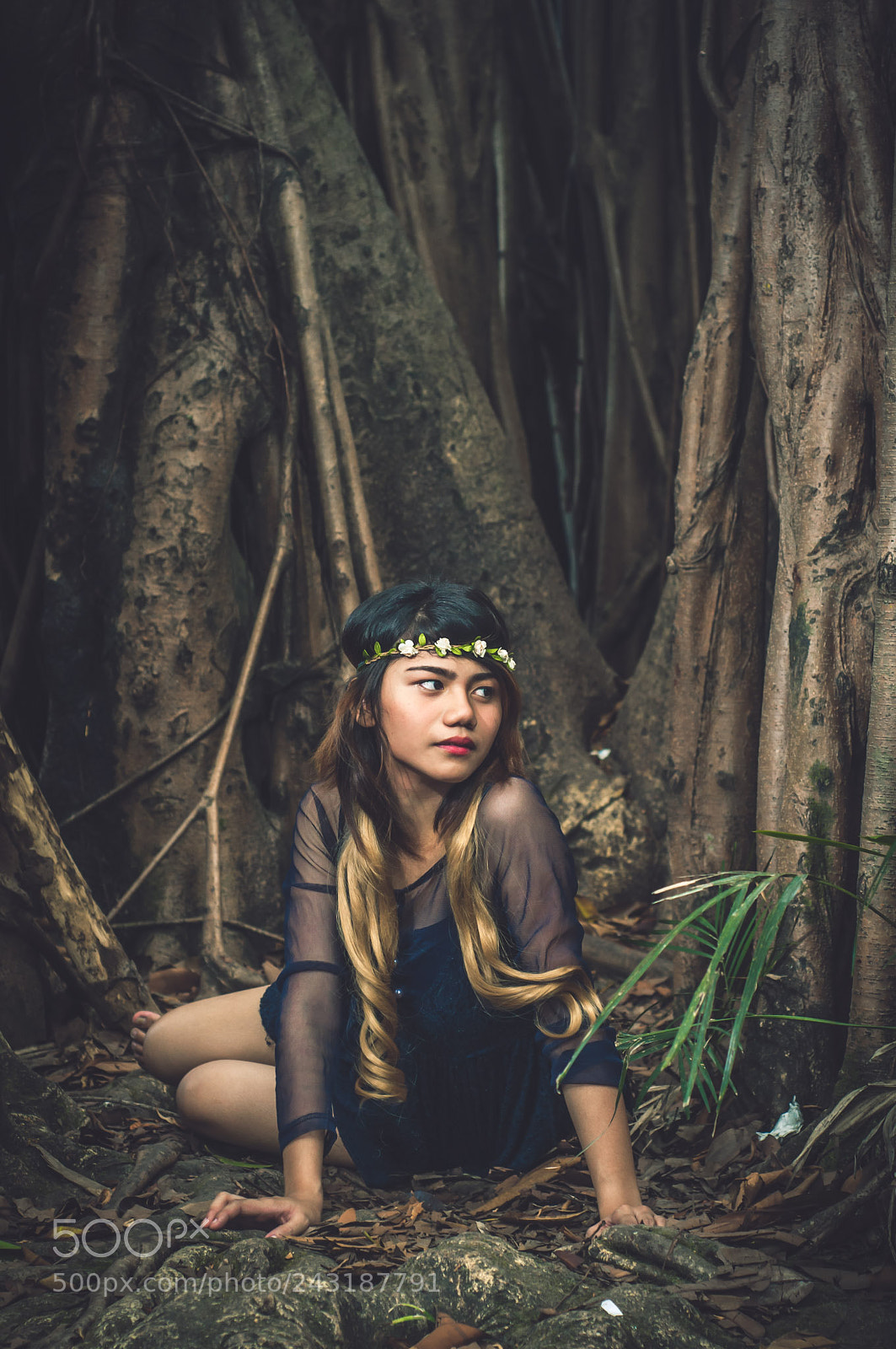 Nikon D90 sample photo. Lost in the woods photography