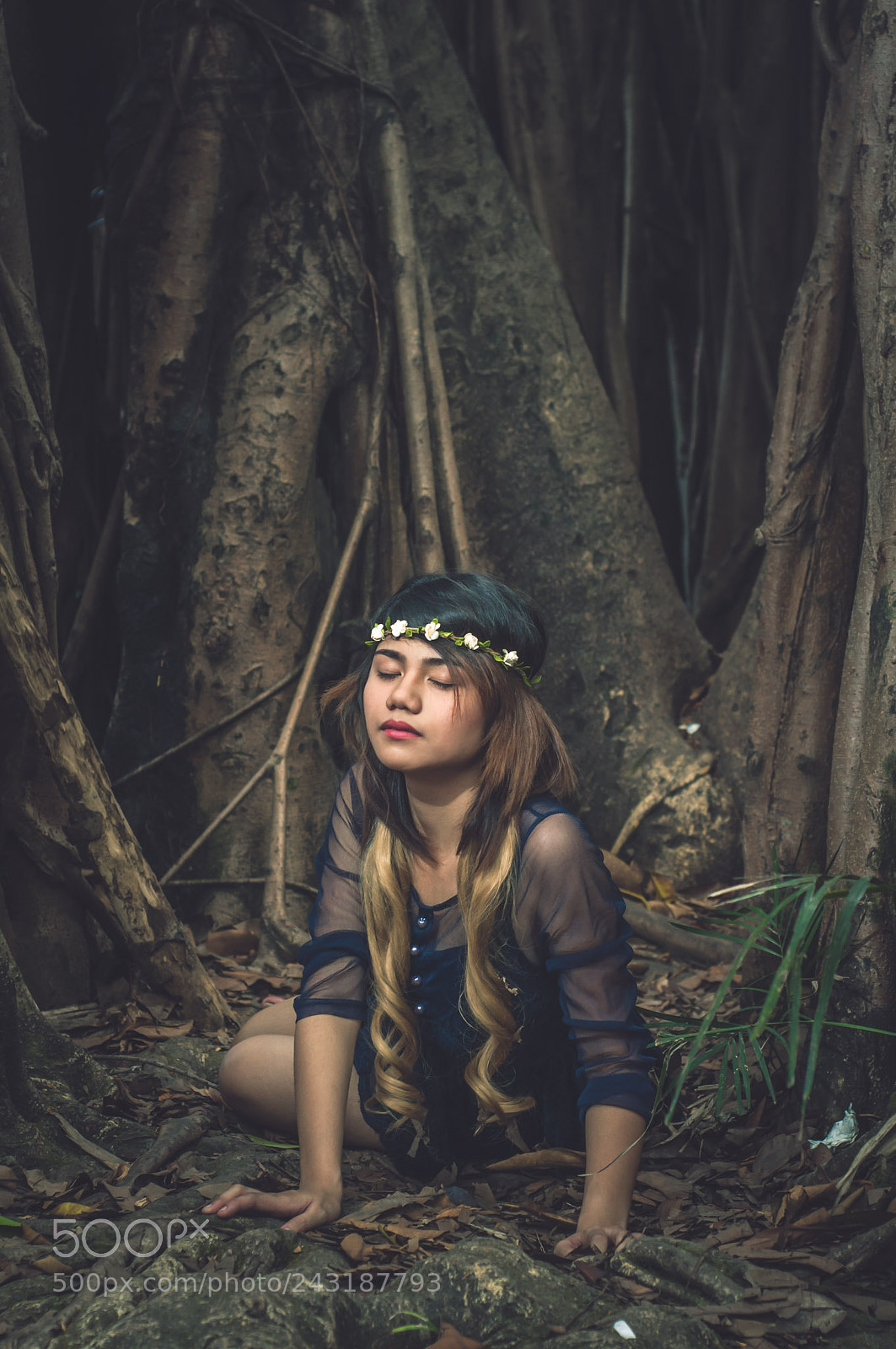 Nikon D90 sample photo. Lost in the woods photography