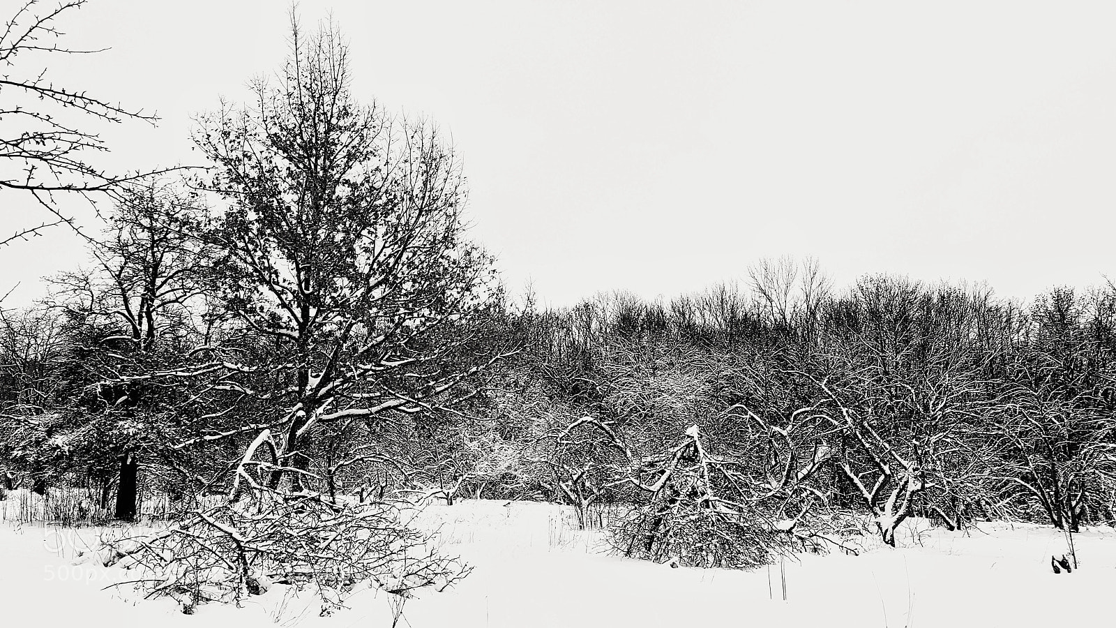 Samsung Galaxy S7 sample photo. Winter photography