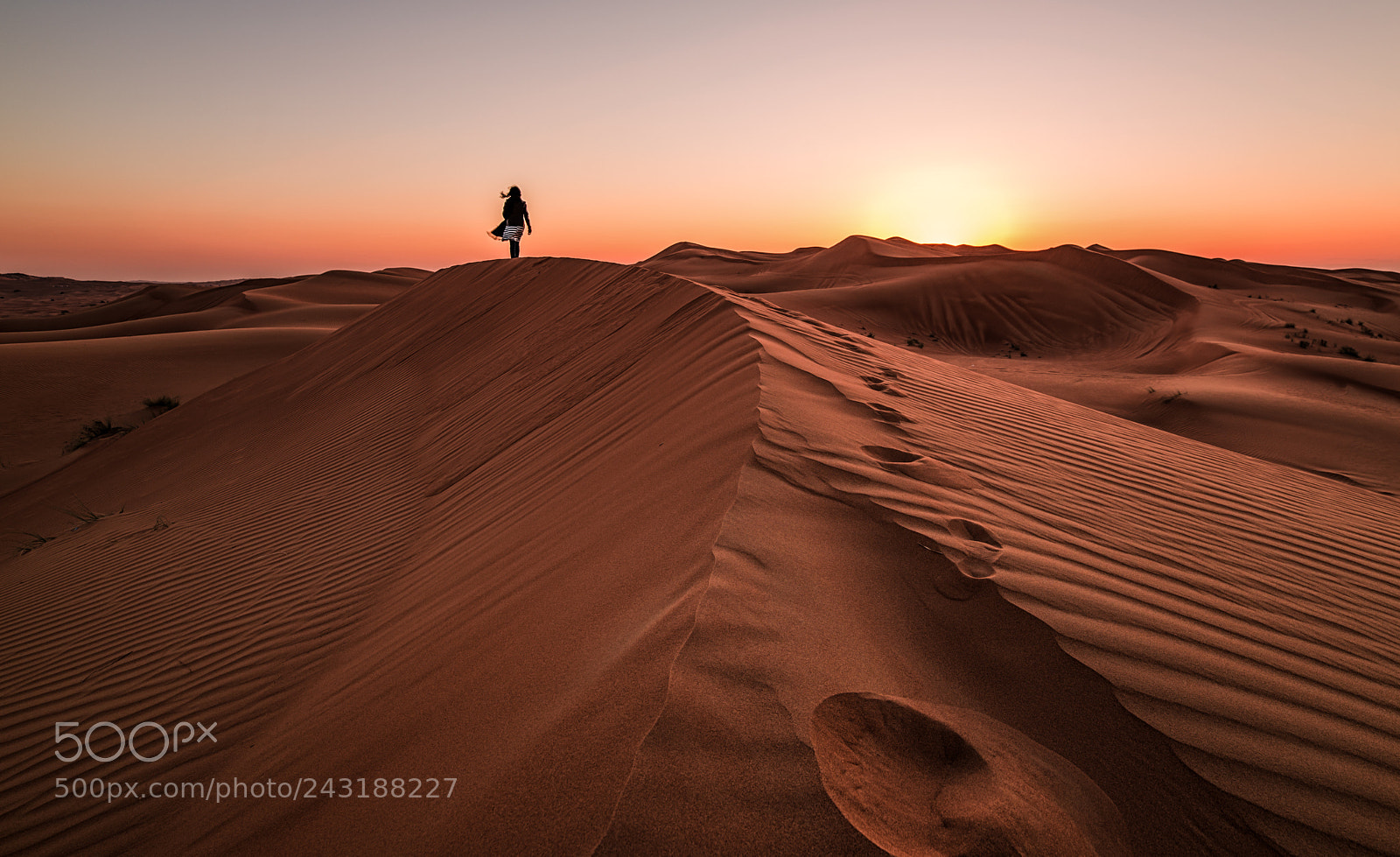 Nikon D610 sample photo. Desert sunset photography