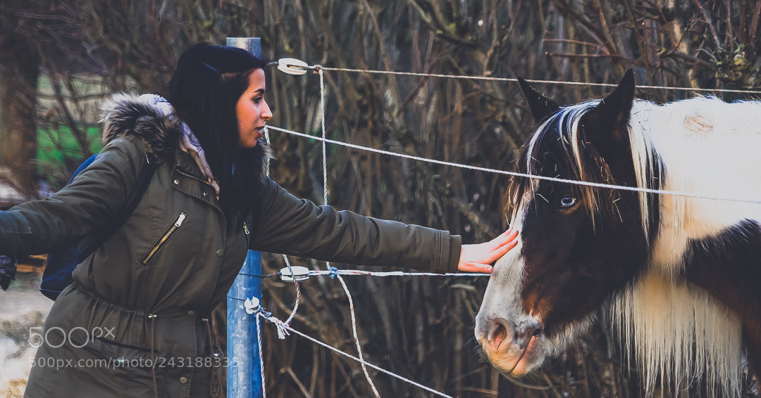 Sony a7 II sample photo. Untitled photography