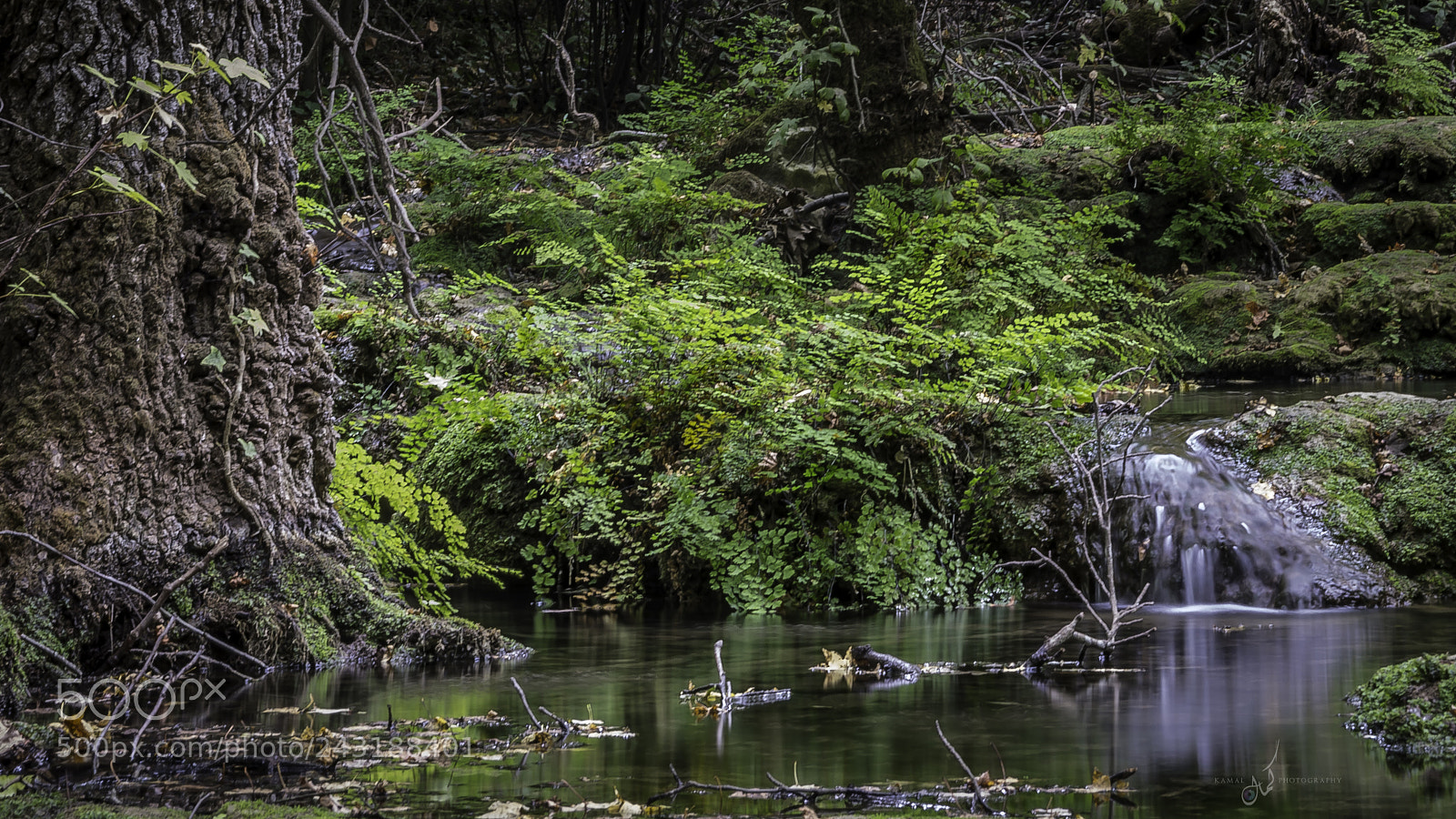 Nikon D7200 sample photo. Still waters photography
