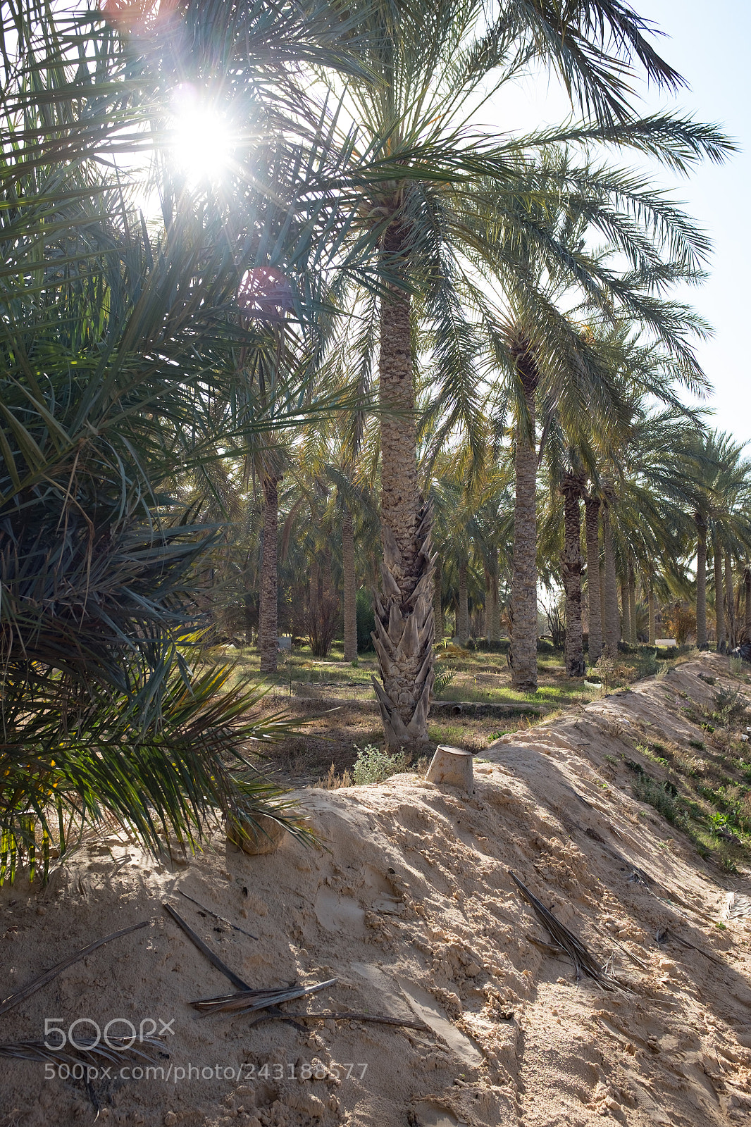 Fujifilm X100S sample photo. Trip sud (sur ) photography