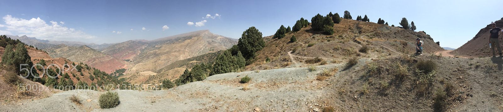 Apple iPhone 6 sample photo. Untitled photography