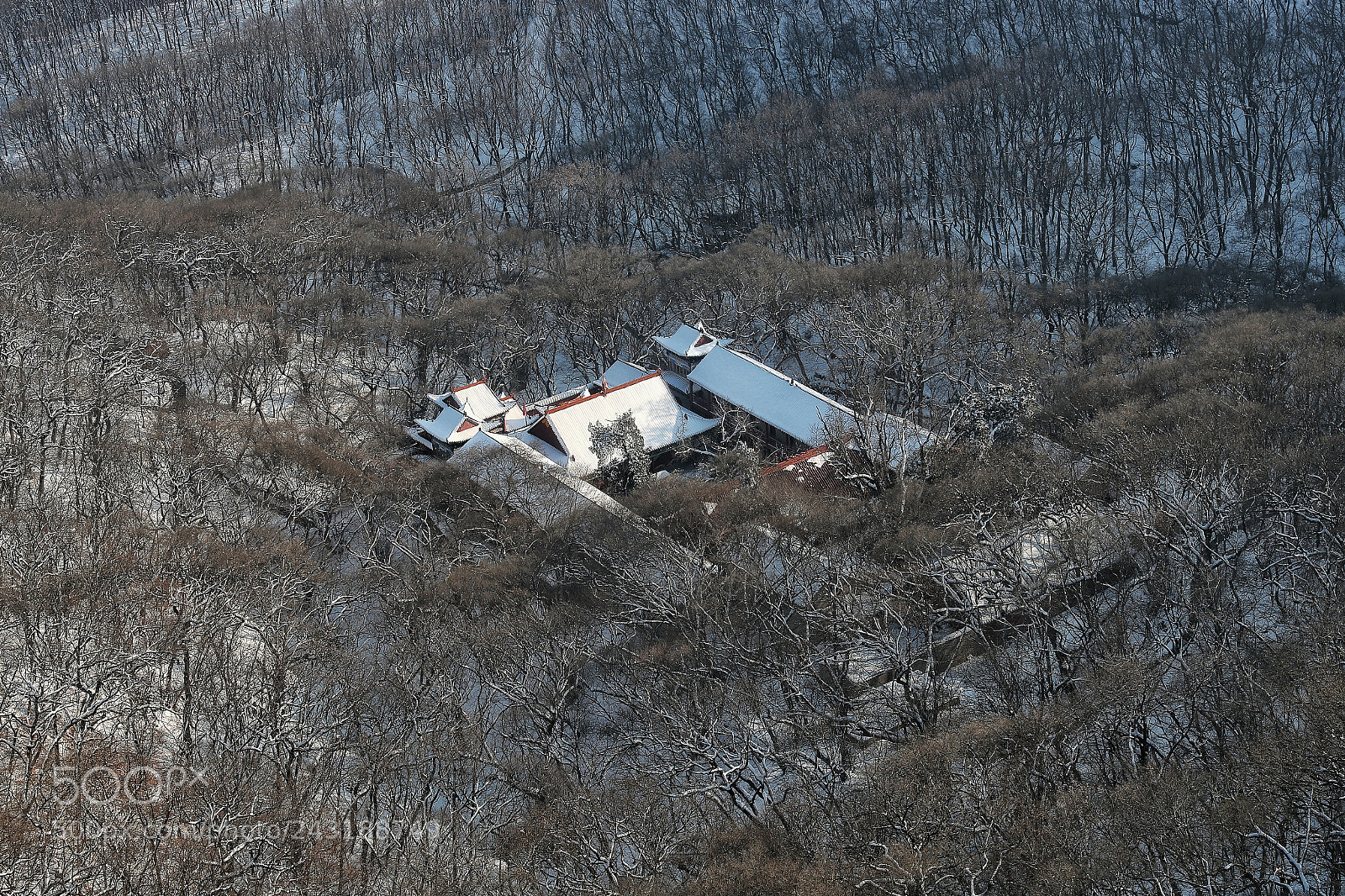 Canon EOS-1D X Mark II sample photo. 雪中寺院 photography