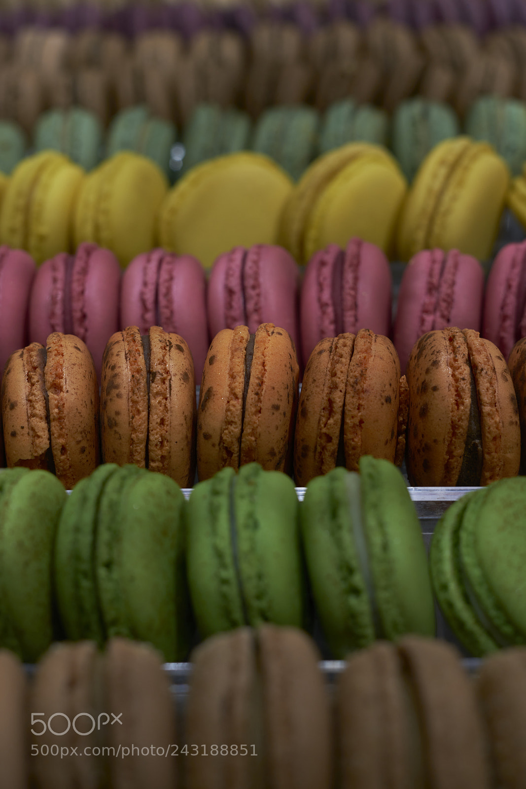 Sony a7R II sample photo. Macaroons photography