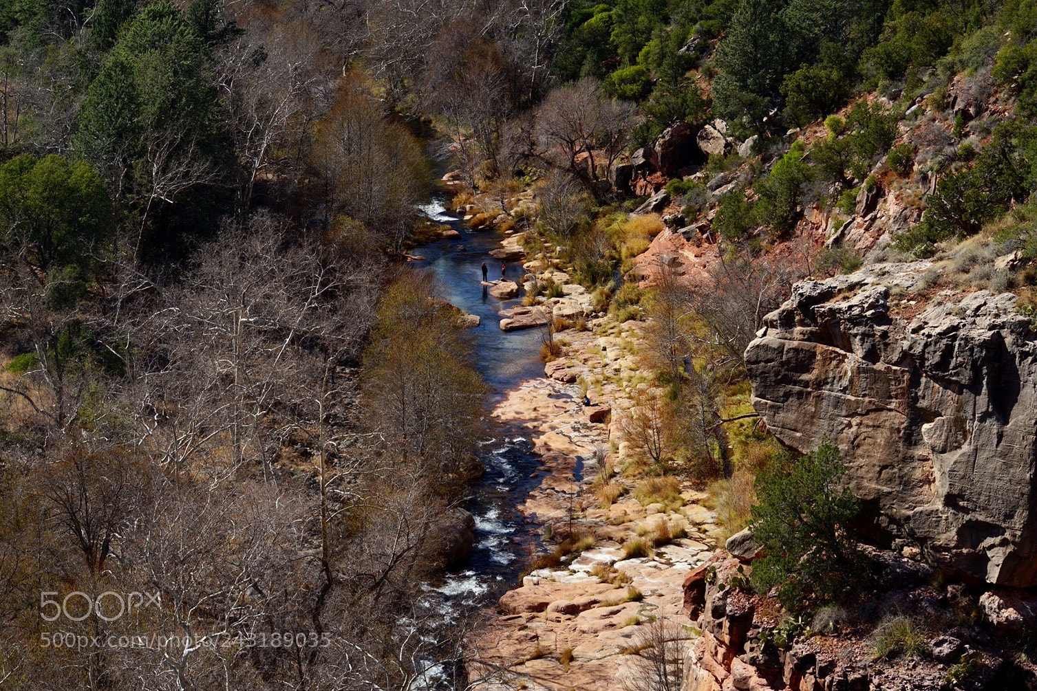 Sony a7 II sample photo. Nature beauty photography