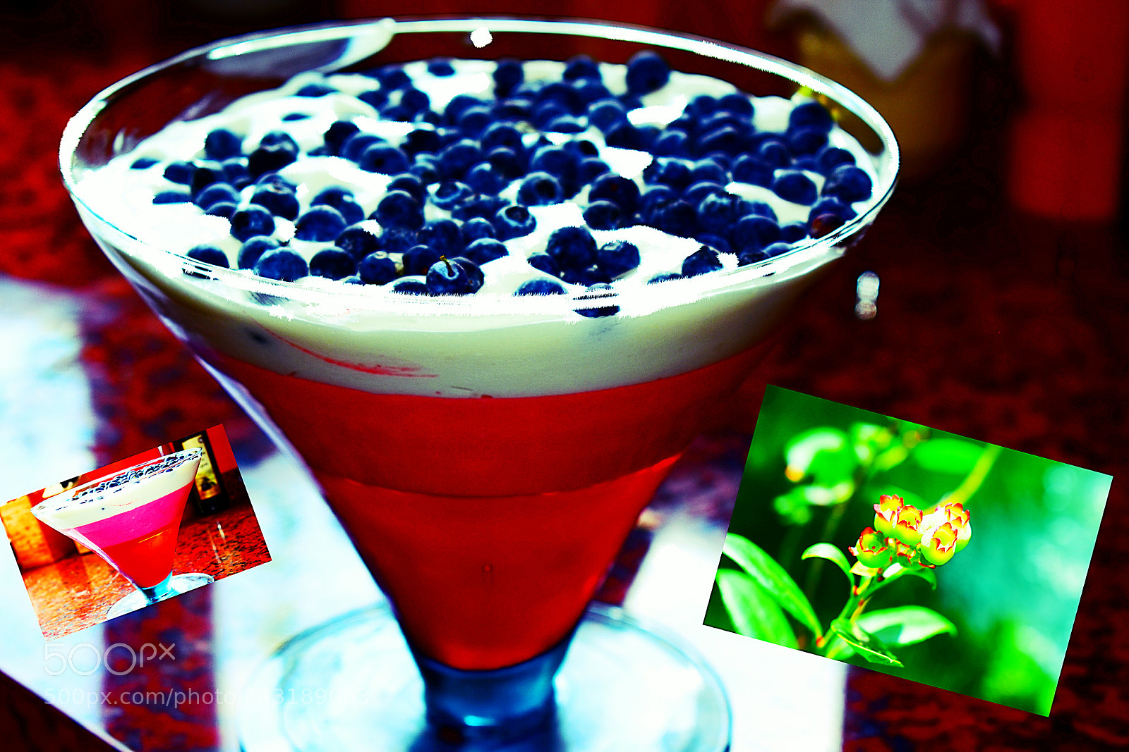 Nikon D5600 sample photo. Red jelly with blueberry photography
