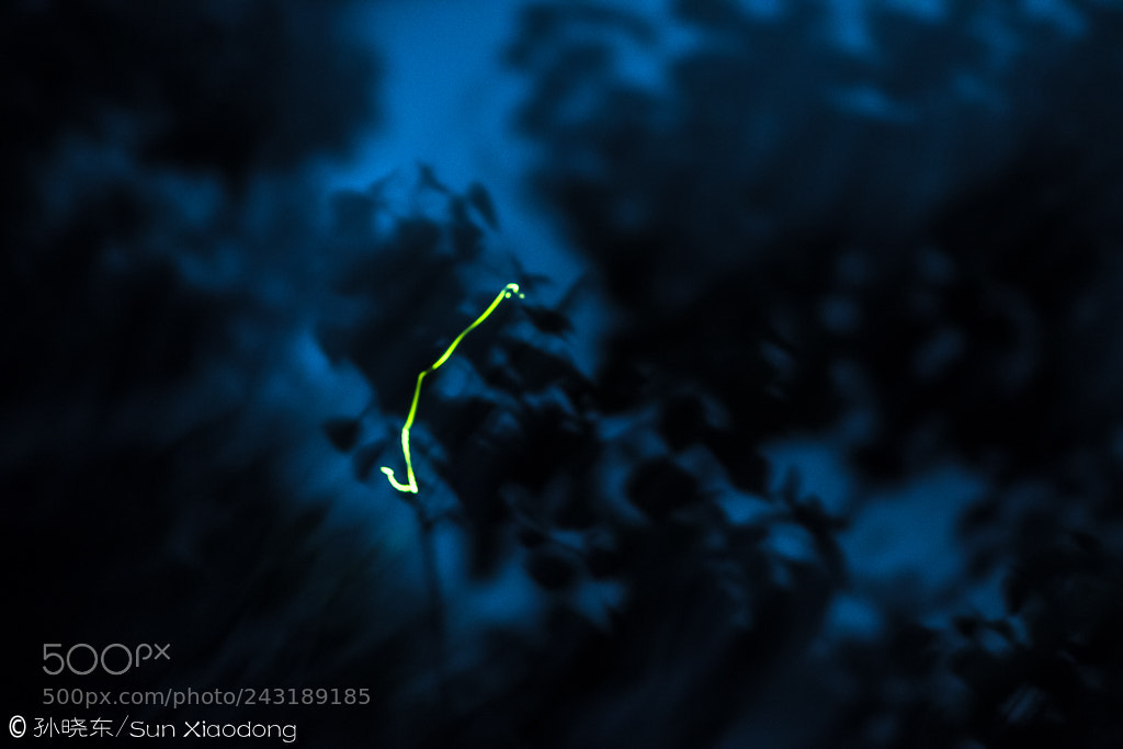 Canon EOS 7D Mark II sample photo. The unknown signs in photography