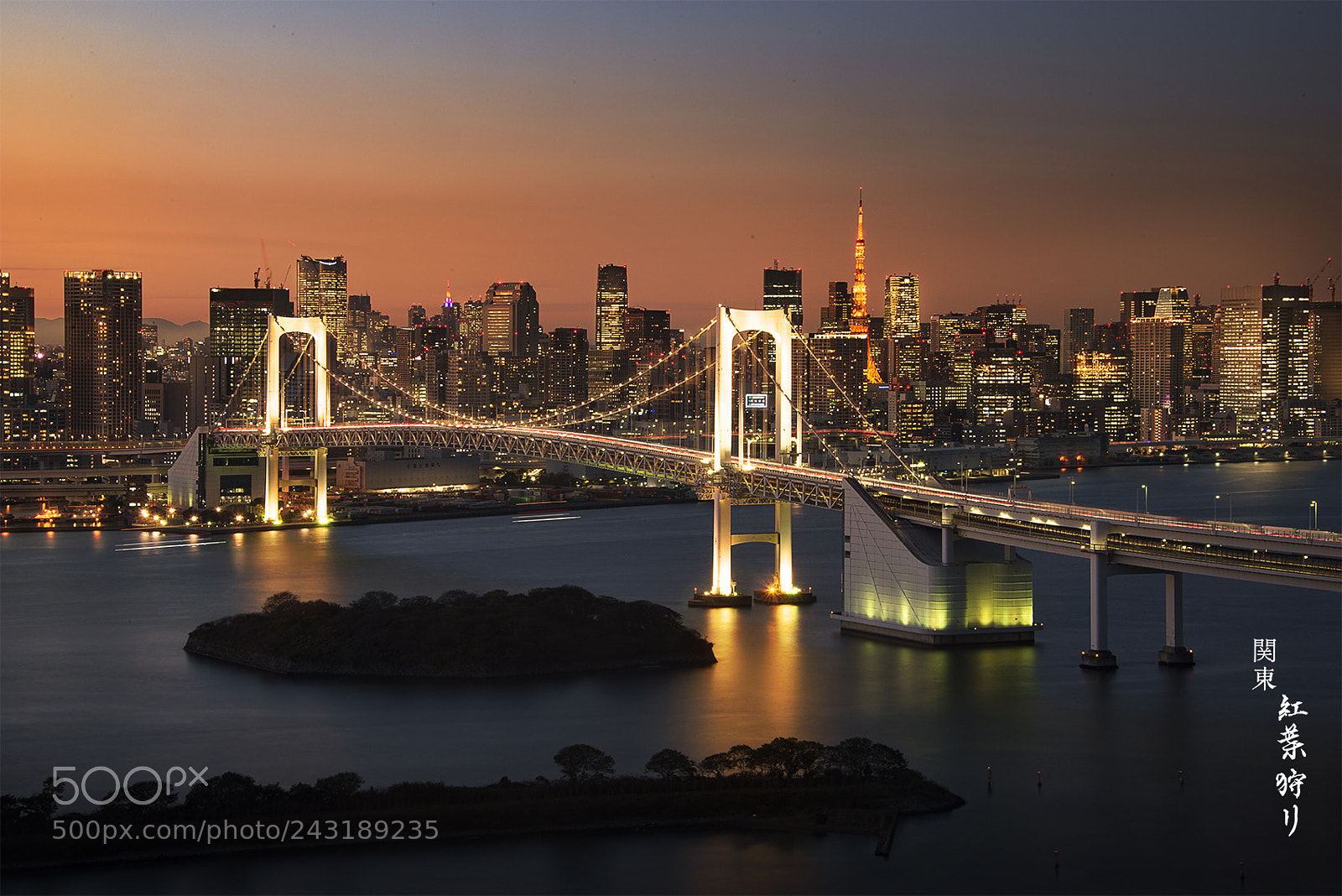Nikon D800E sample photo. Tokyo bay rainbow bridge photography