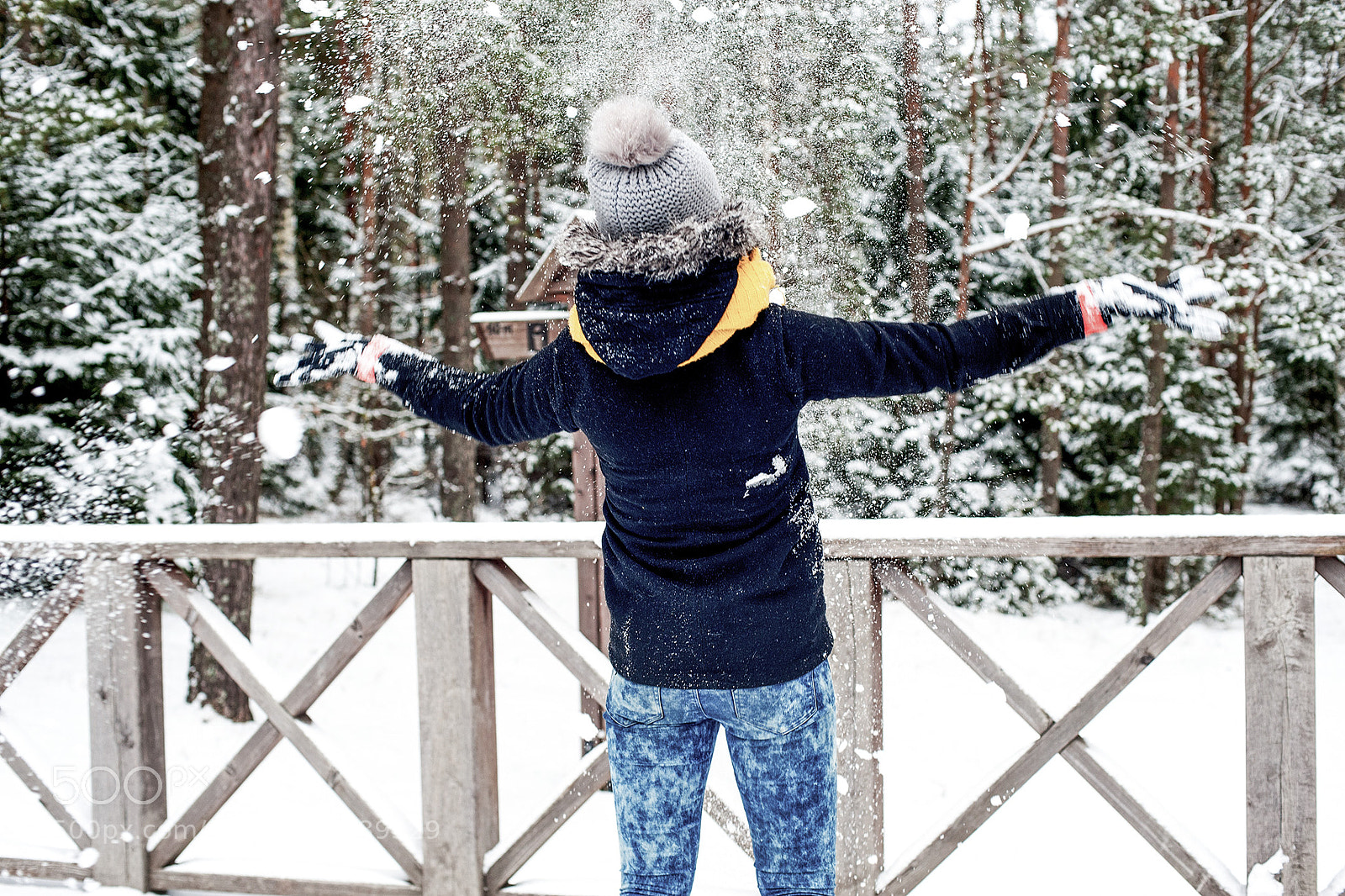 Nikon D3 sample photo. Hello, snowy winter photography