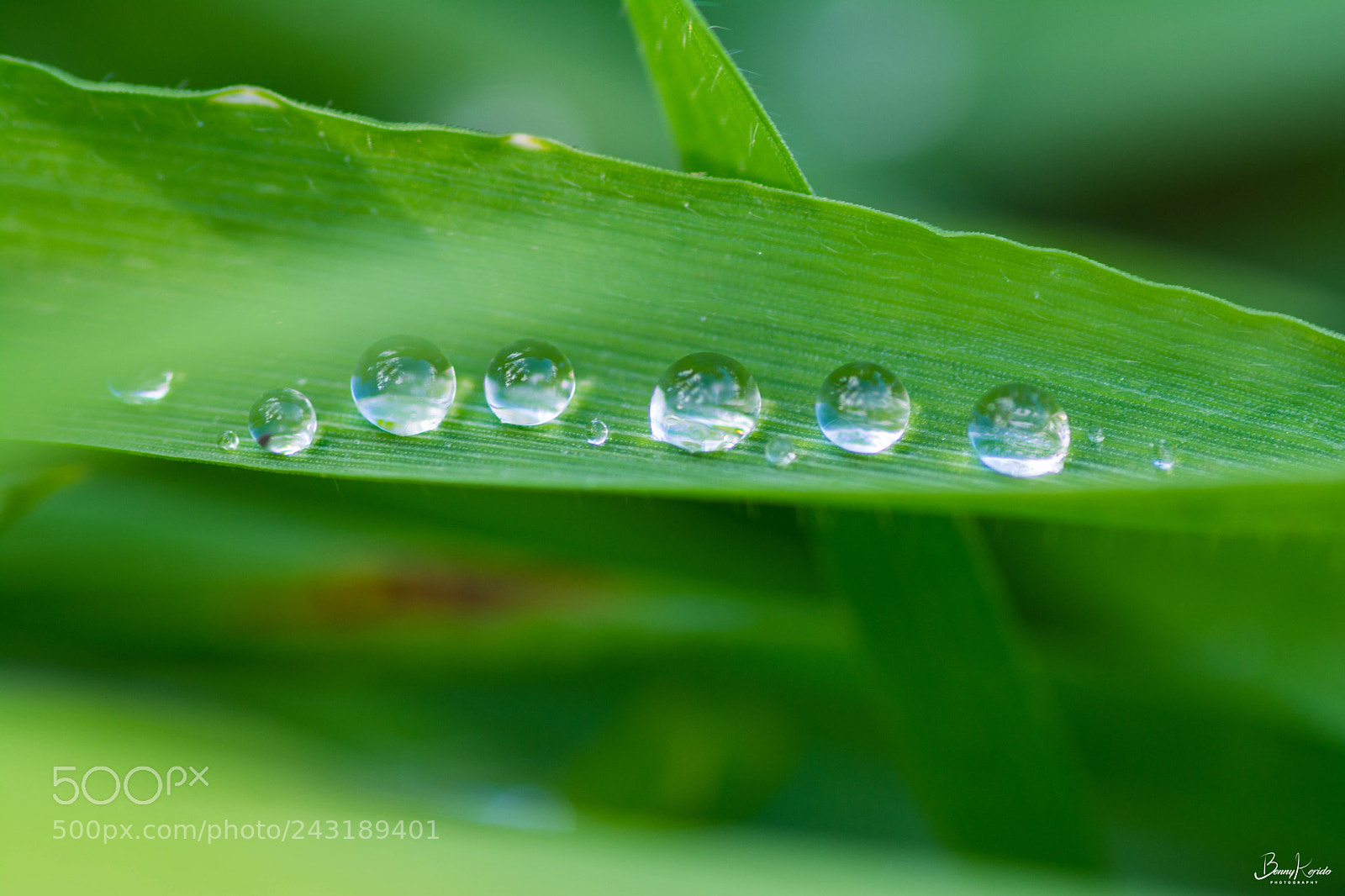 Nikon D7100 sample photo. Untitled photography