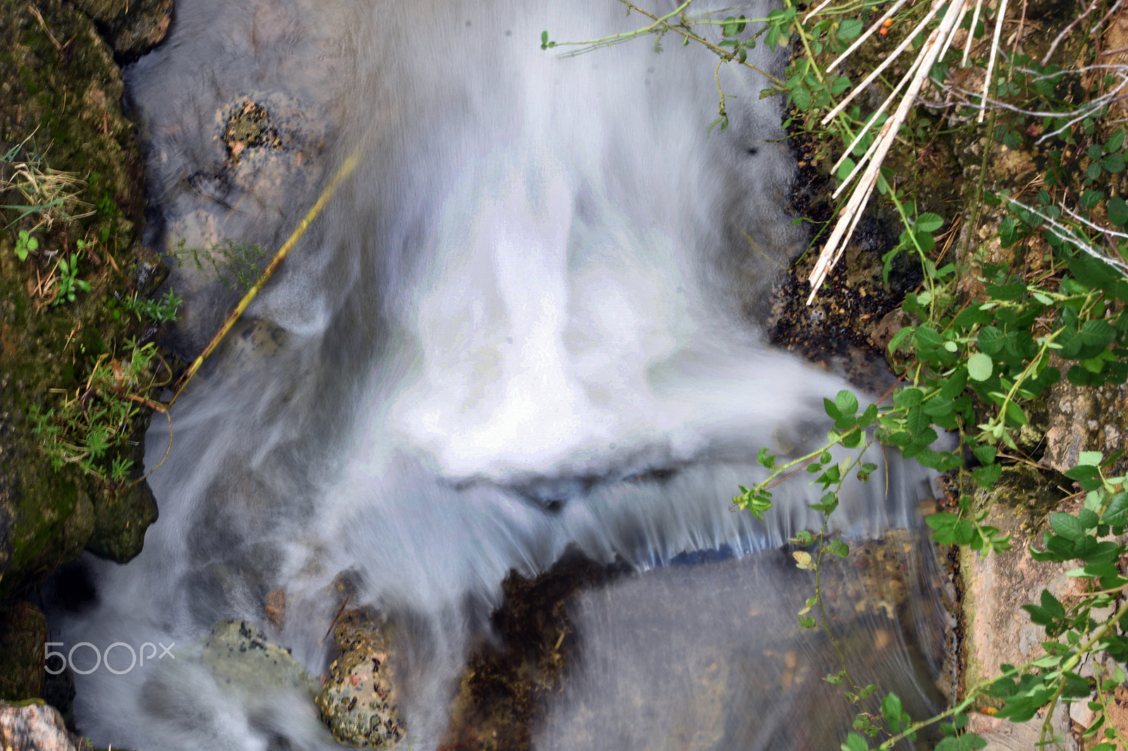 Nikon D7200 + Nikon AF-S DX Nikkor 55-300mm F4.5-5.6G ED VR sample photo. Dsc photography