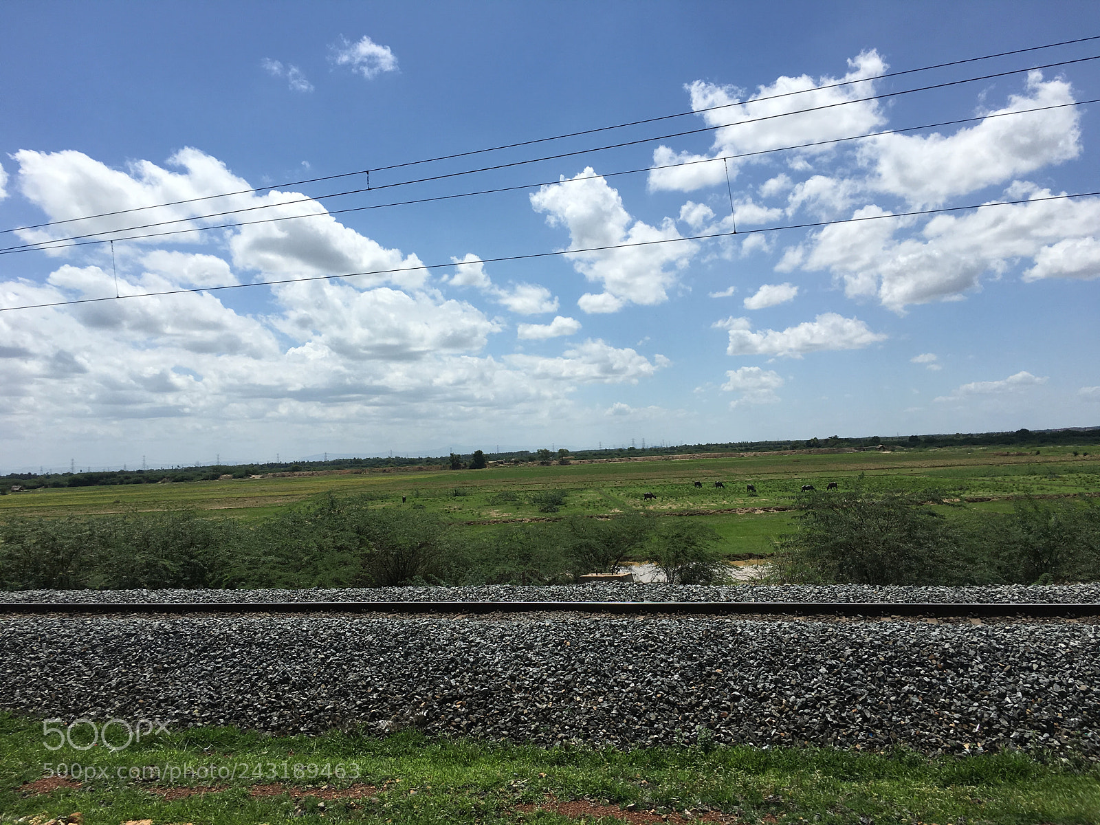 Apple iPhone 6s sample photo. South india photography