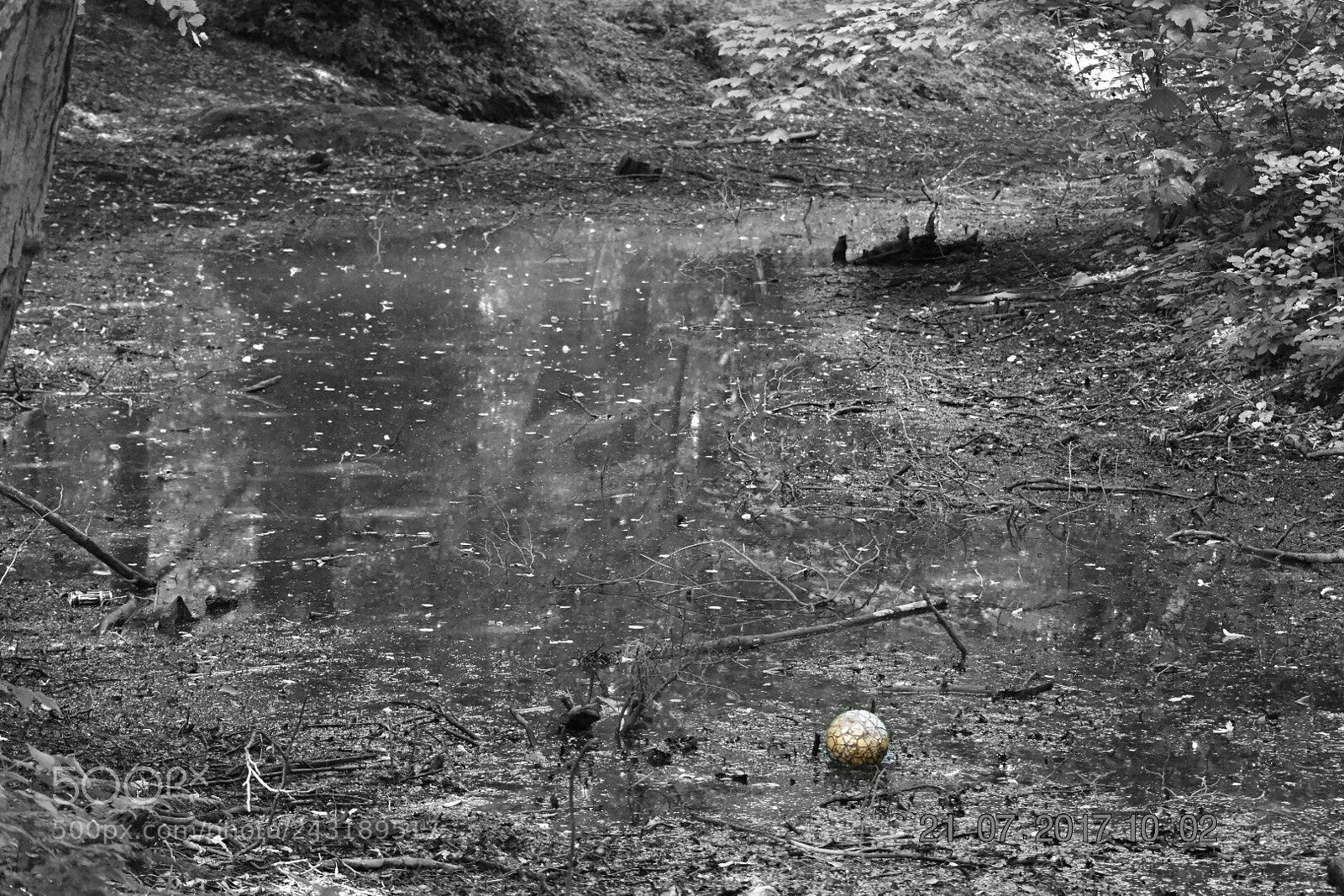 Nikon D3400 sample photo. Deserted ball photography