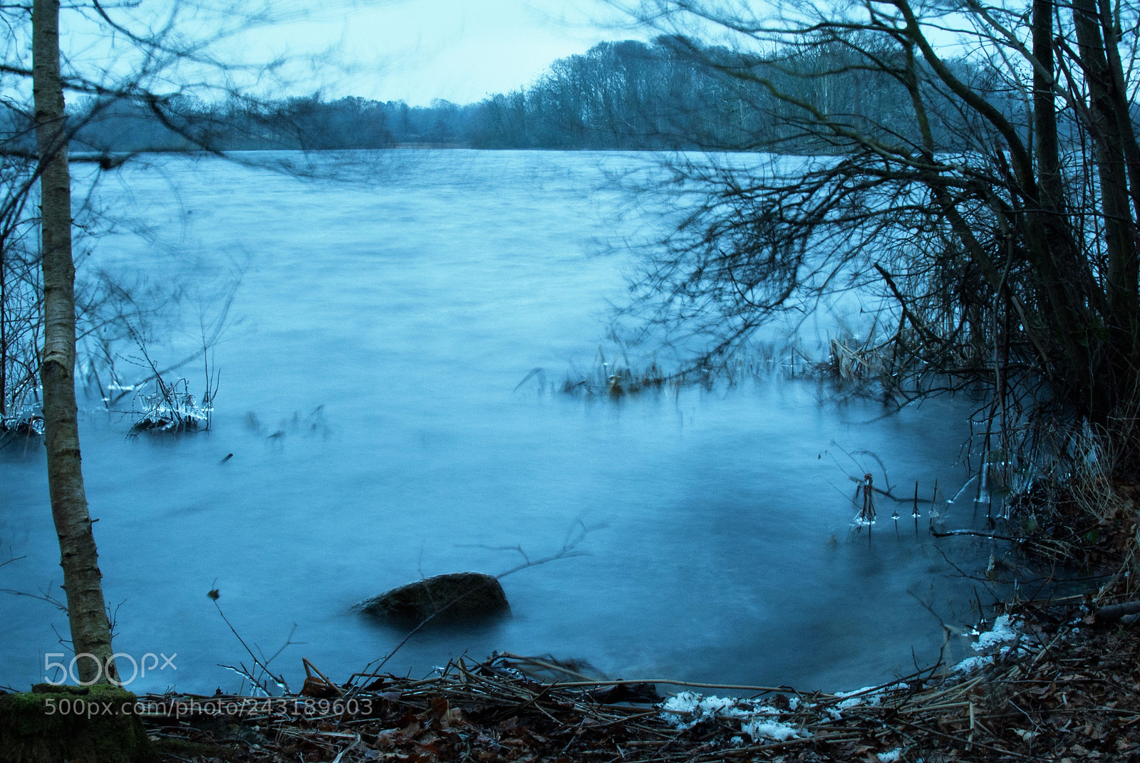 Nikon D3000 sample photo. It´s cold outside... photography