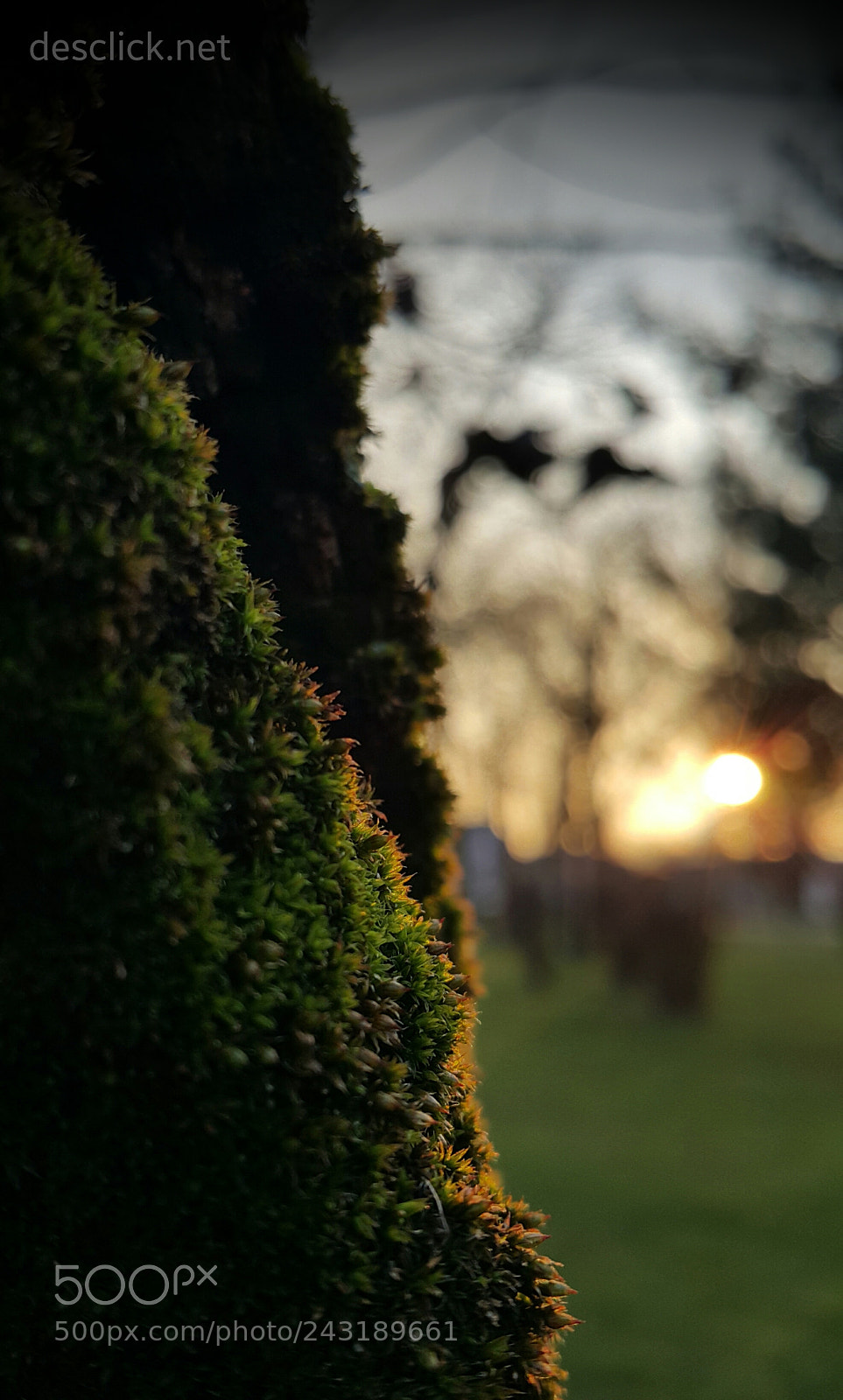 Samsung Galaxy Note4 sample photo. Zen moment ... photography