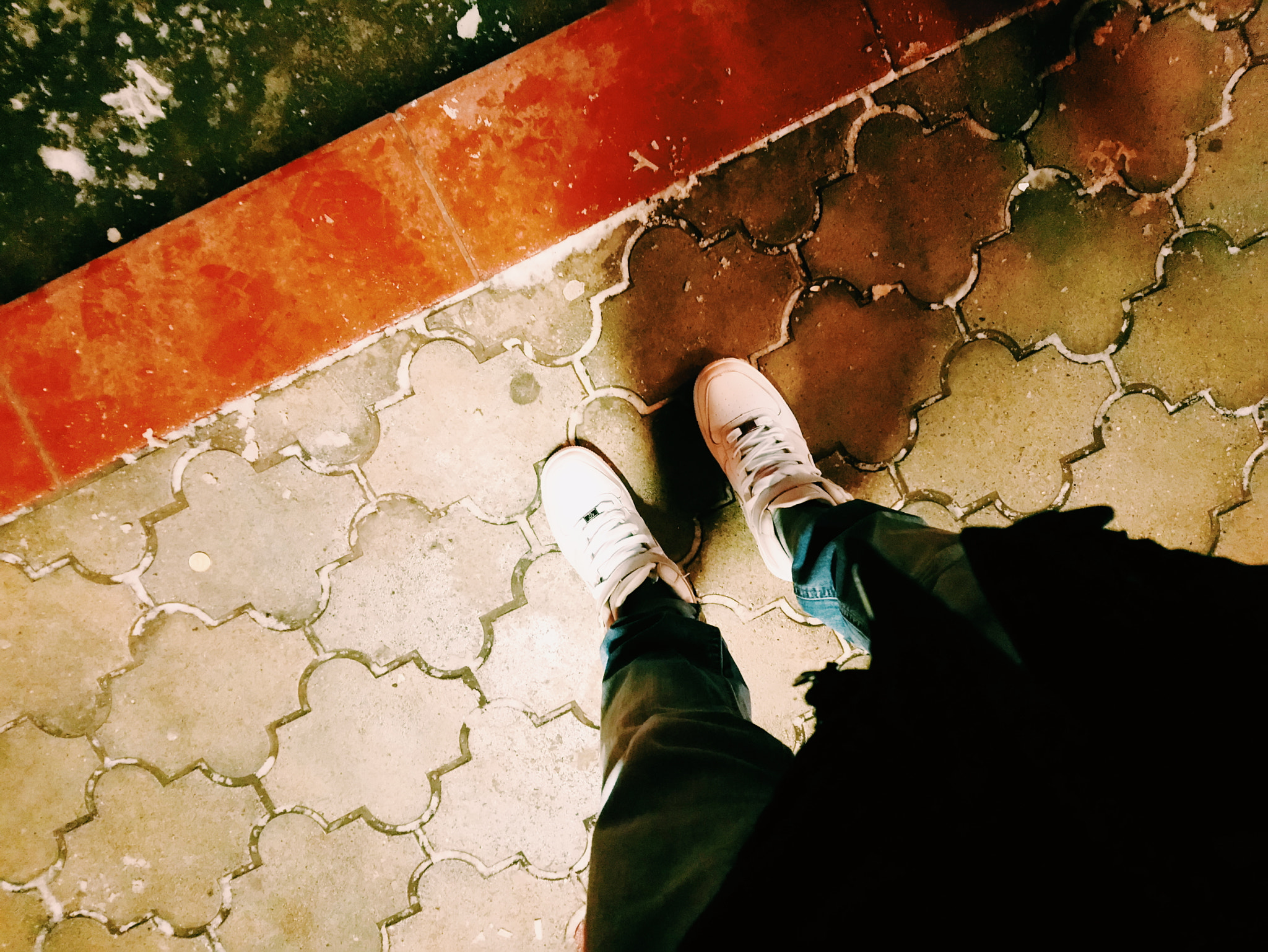 Sony Xperia XA1 Plus sample photo