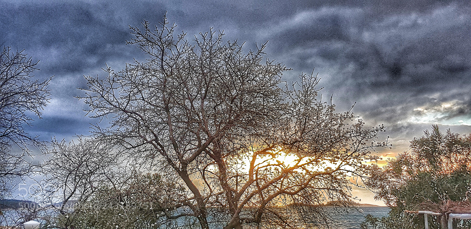 Samsung Galaxy S8+ sample photo. Almond.. photography