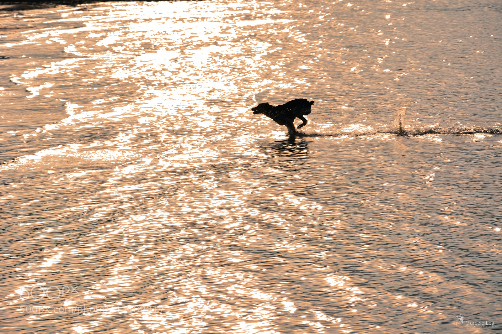 Nikon D7100 sample photo. Fragments of nature - 4 photography