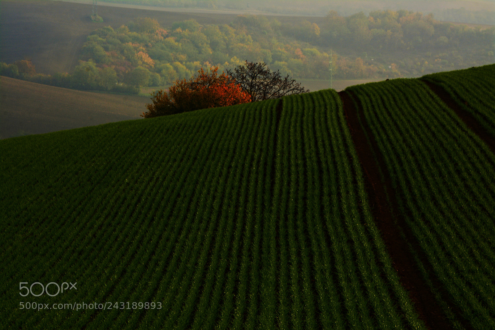 Nikon D7100 sample photo. Beyond the horizon photography