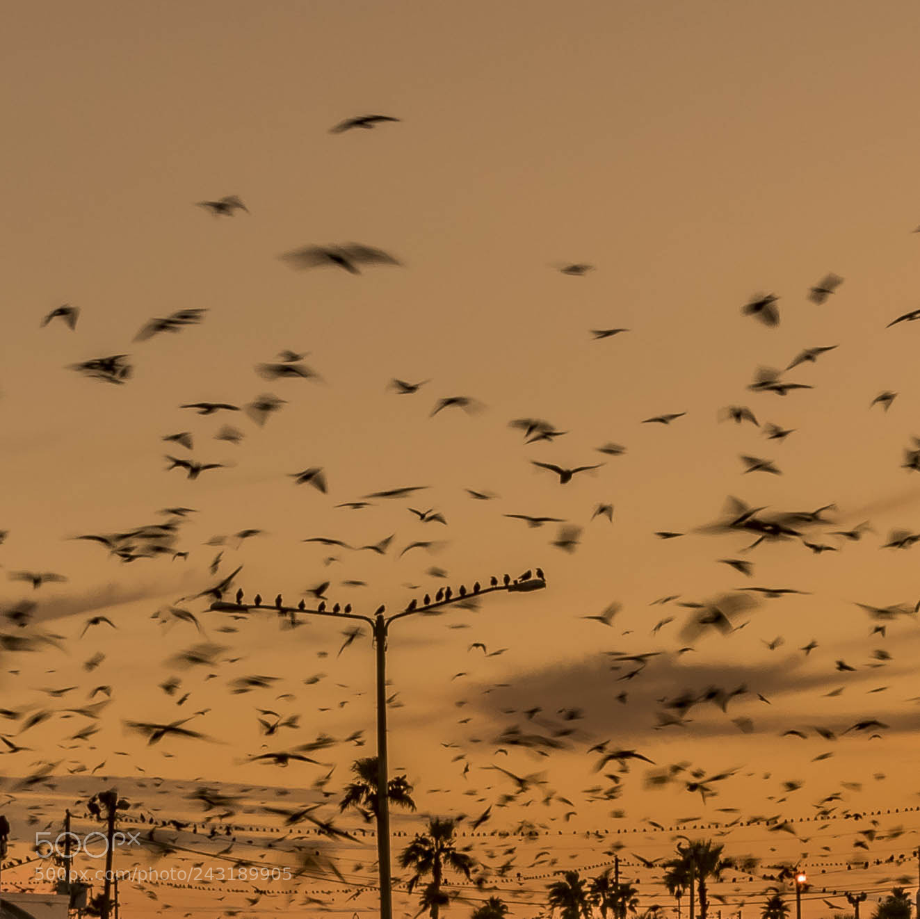 Pentax K-1 sample photo. Coming, going or staying photography