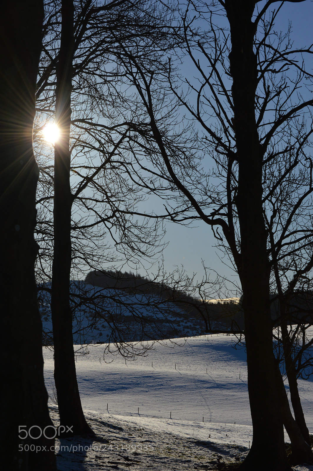 Nikon D3200 sample photo. () photography