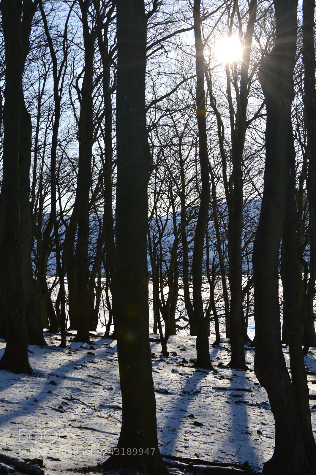Nikon D3200 sample photo. () photography