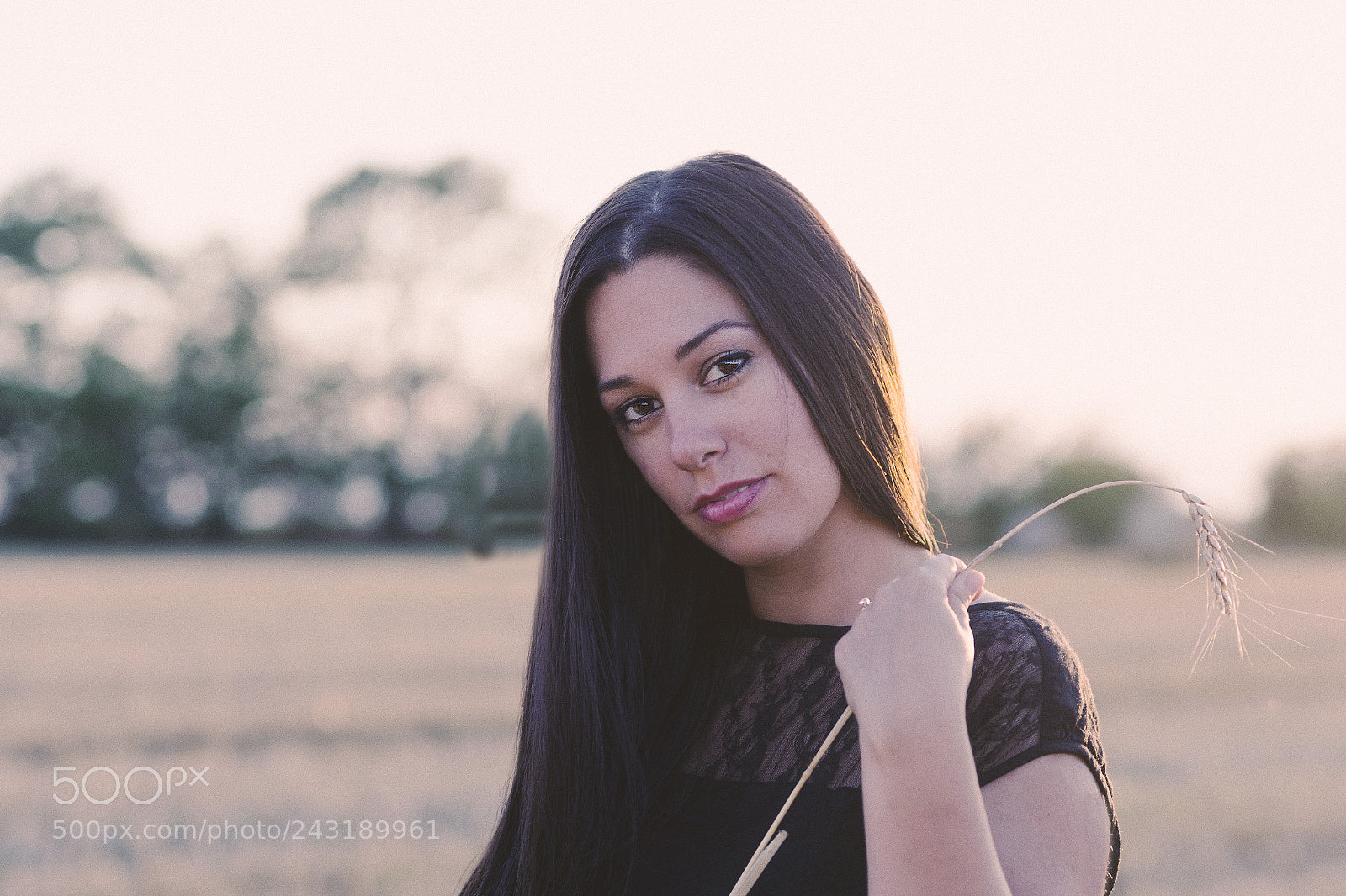 Nikon D7100 sample photo. Orsi photography