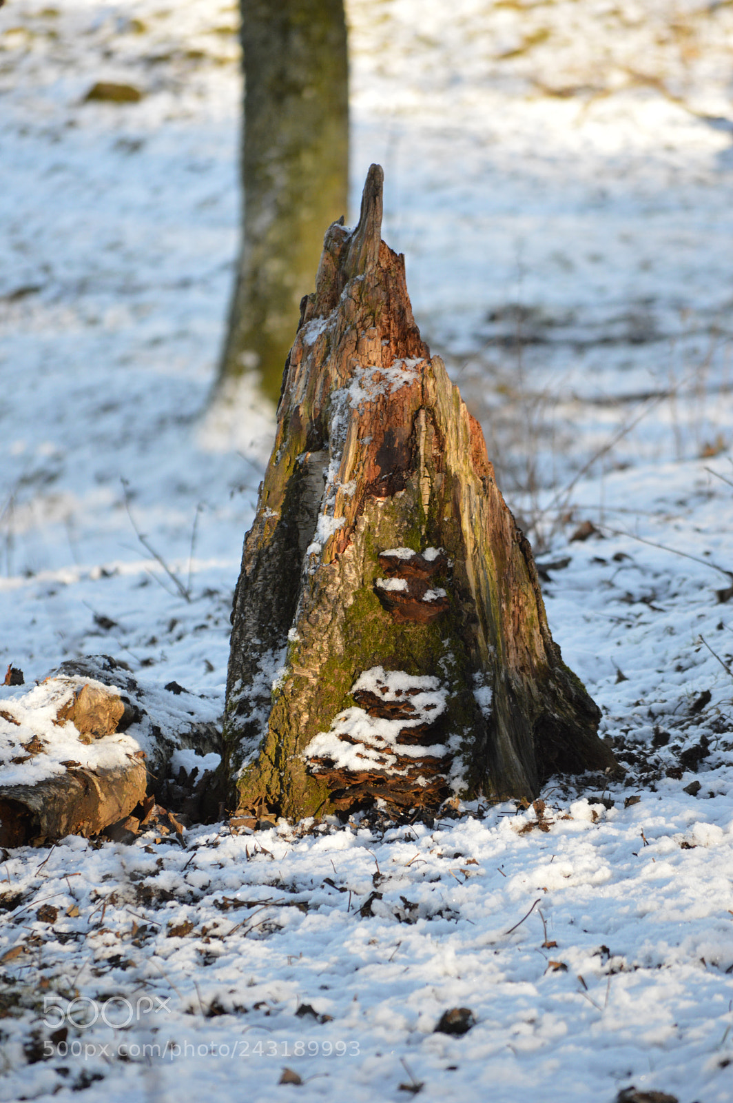 Nikon D3200 sample photo. () photography
