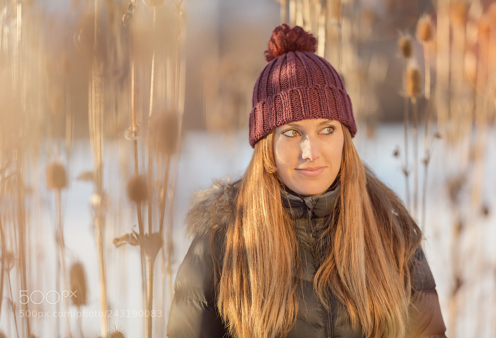 Nikon D850 sample photo. Golden portraits photography