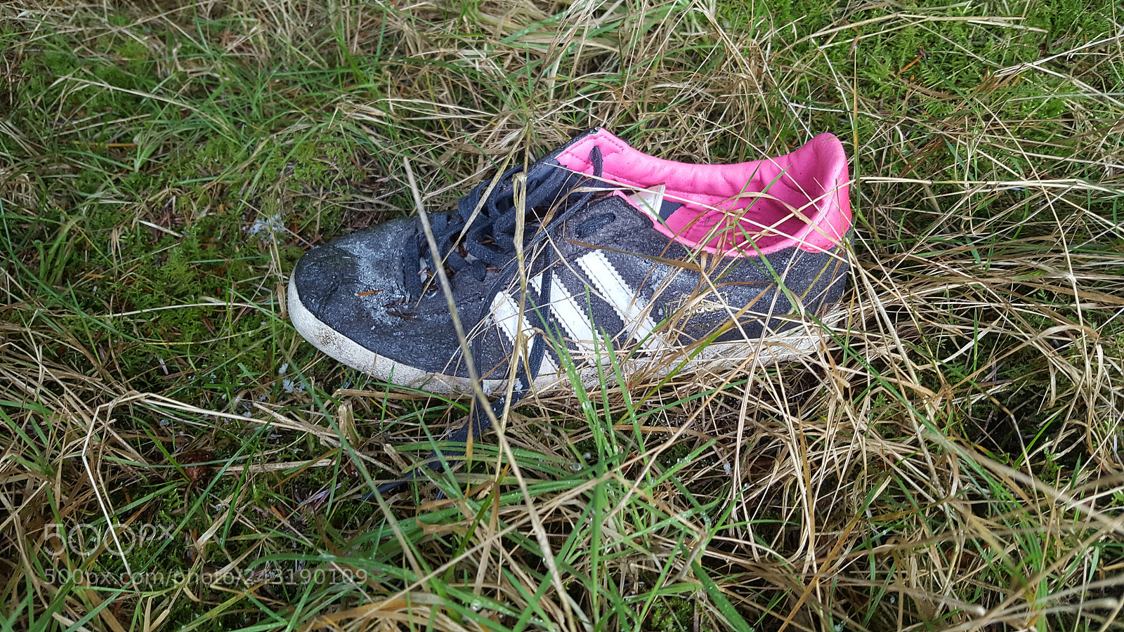 Samsung Galaxy S6 sample photo. Lost shoe photography