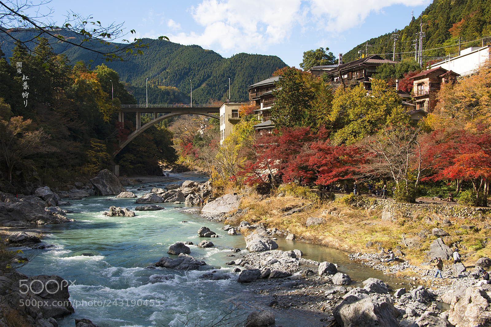 Nikon D800E sample photo. Autumn-colored leaves in mitake photography