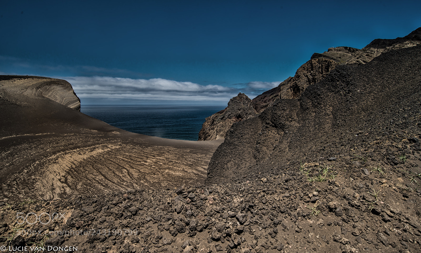 Nikon D610 sample photo. Faial capelo photography