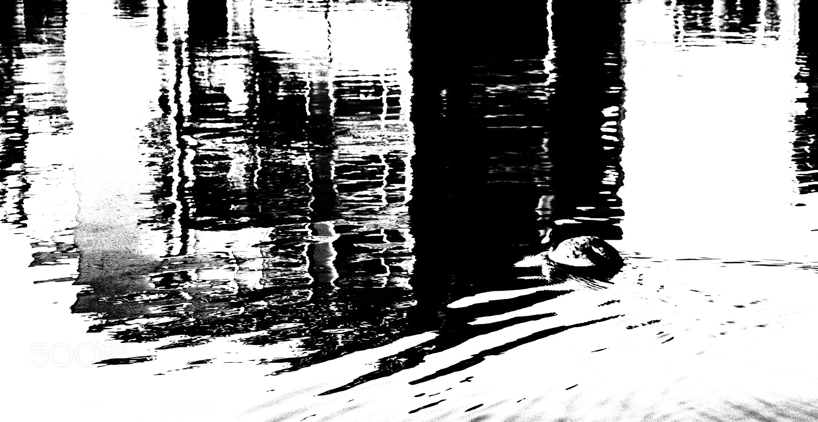 Olympus E-510 (EVOLT E-510) sample photo. The upsidedown world #3 photography