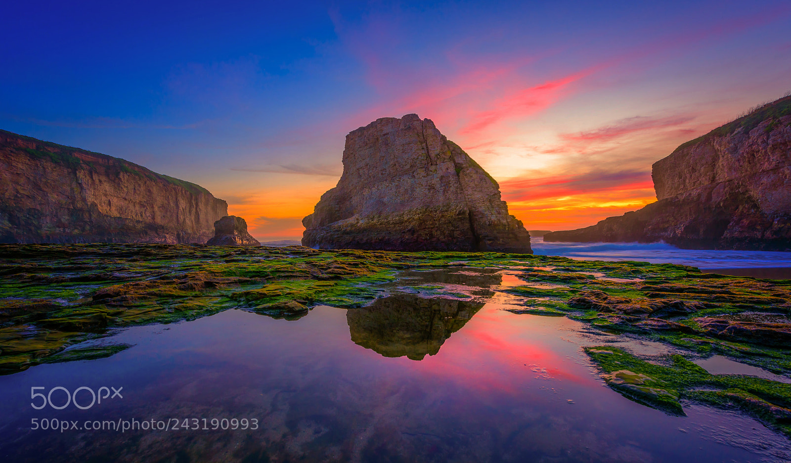Nikon D810 sample photo. Shark fin cove photography
