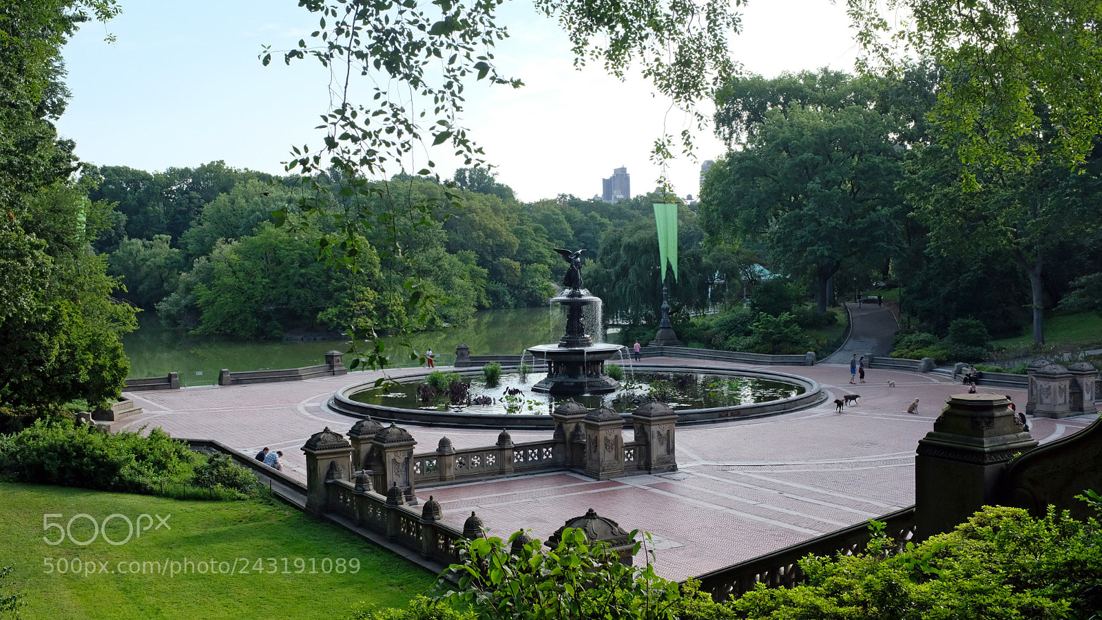 Fujifilm X100F sample photo. A proc photography