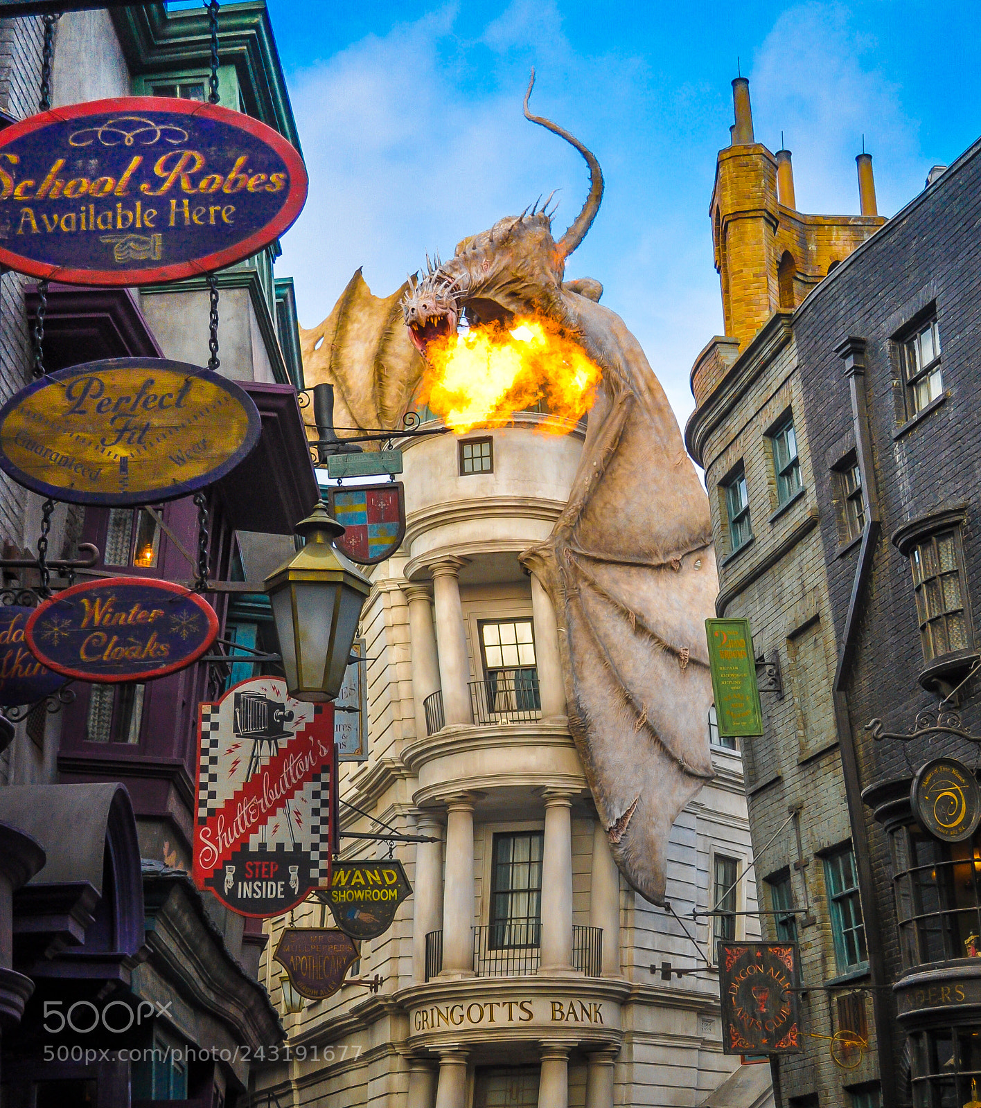 Nikon D90 sample photo. Fire breathing dragons photography