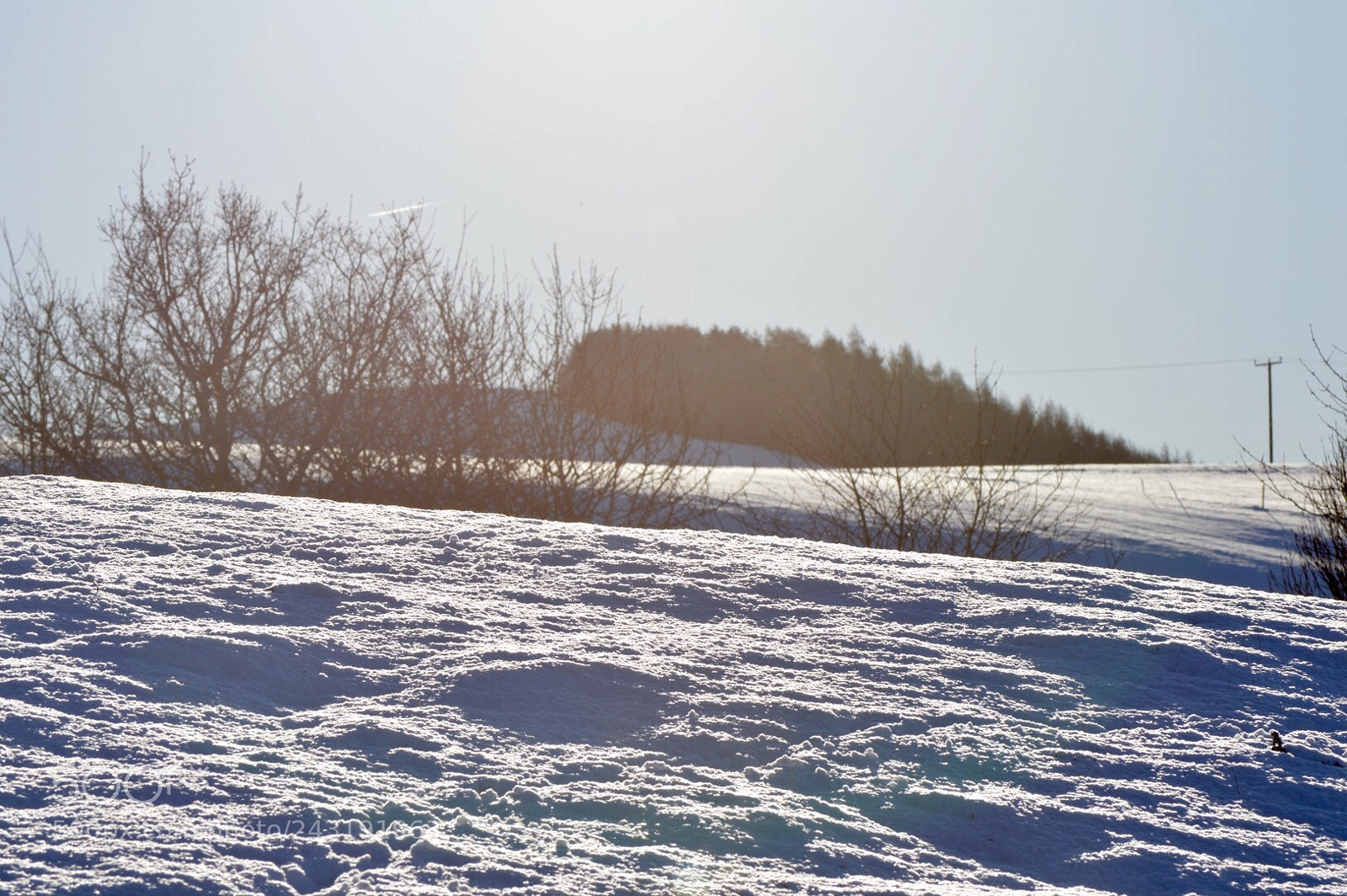 Nikon D3200 sample photo. Untitled photography