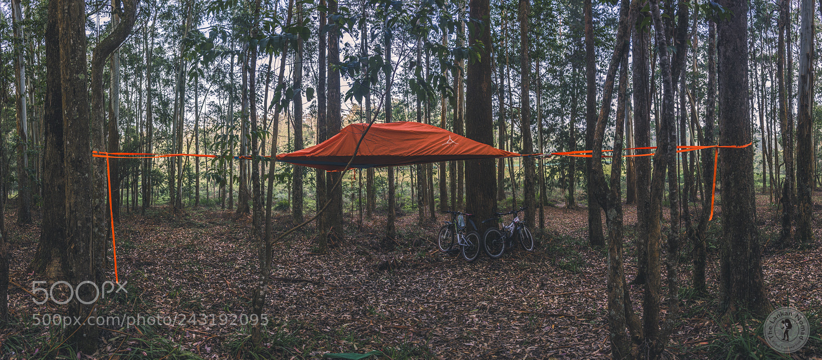 Nikon D7200 sample photo. Camping photography