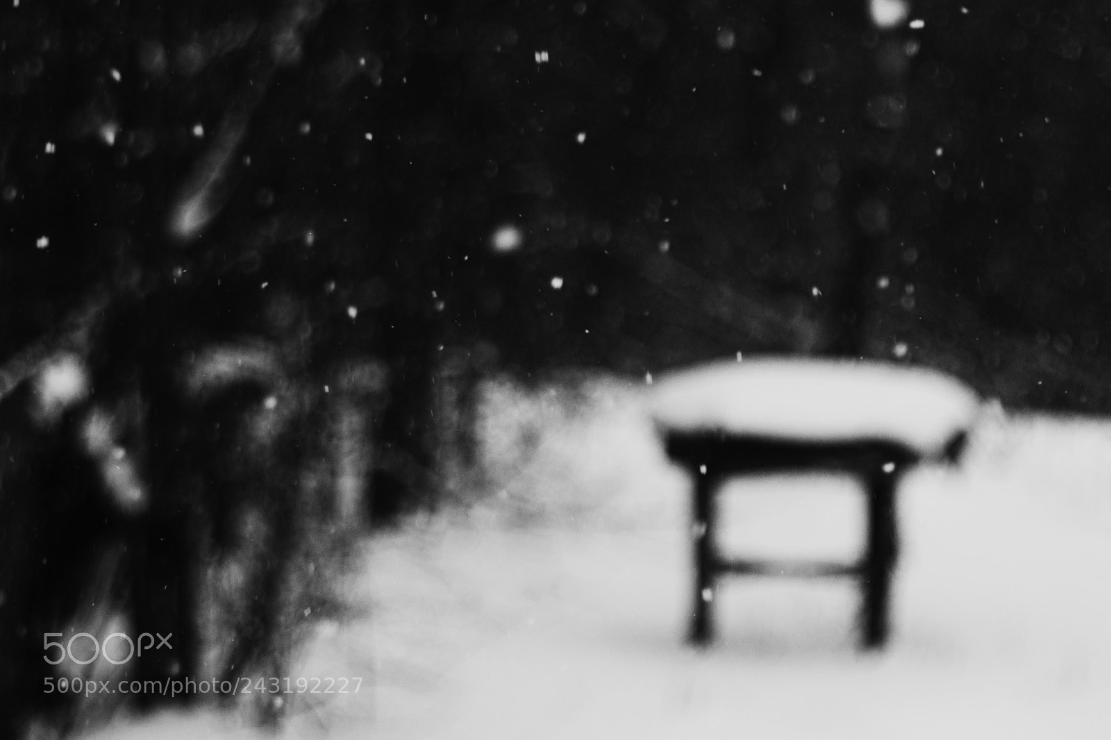 Sony Alpha DSLR-A580 sample photo. Snowfall photography
