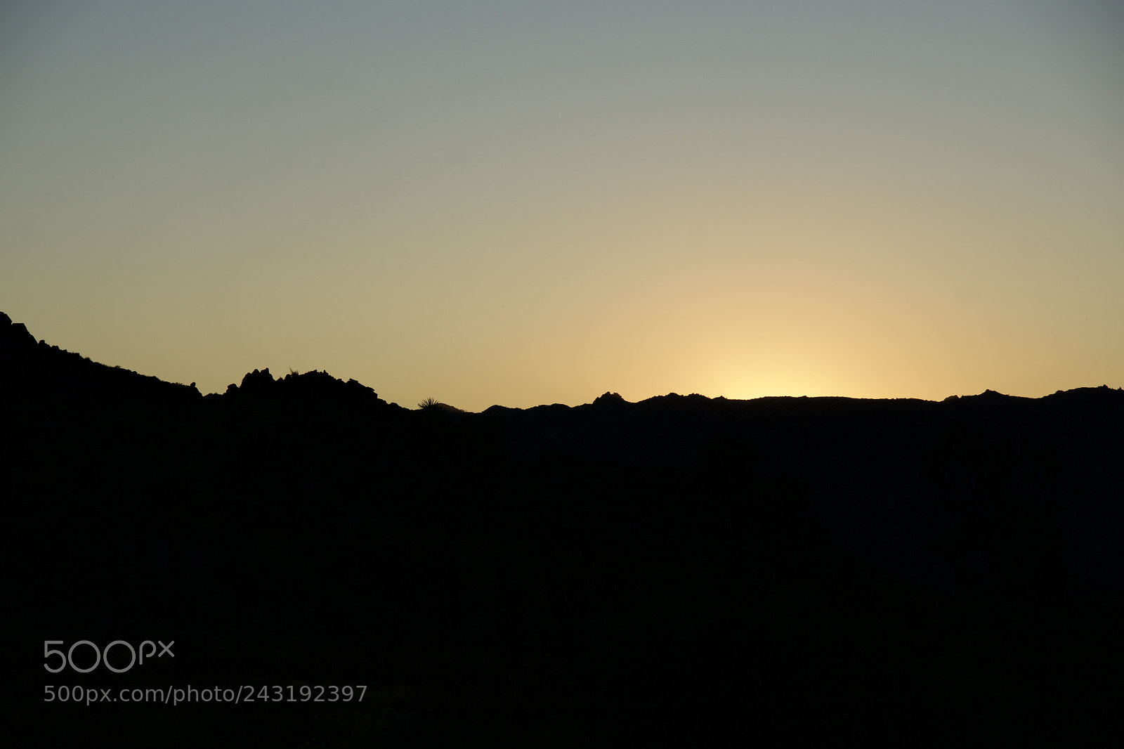 Sony ILCA-77M2 sample photo. Joshua tree photography