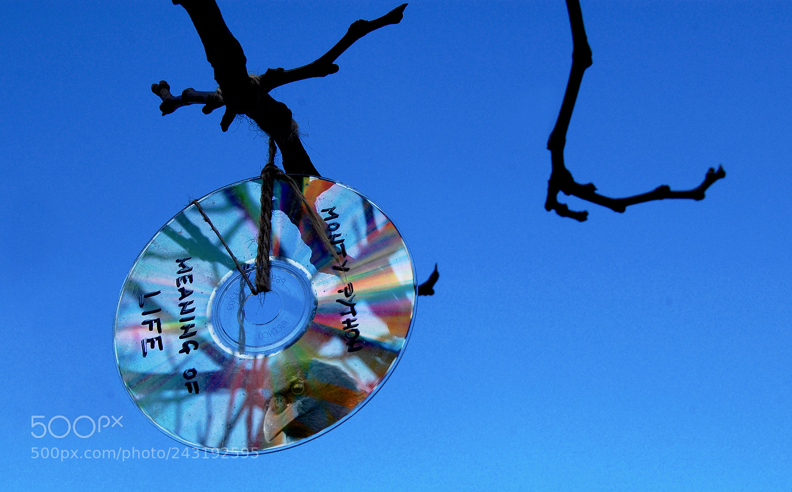 Nikon D40 sample photo. Monty python meaning of photography