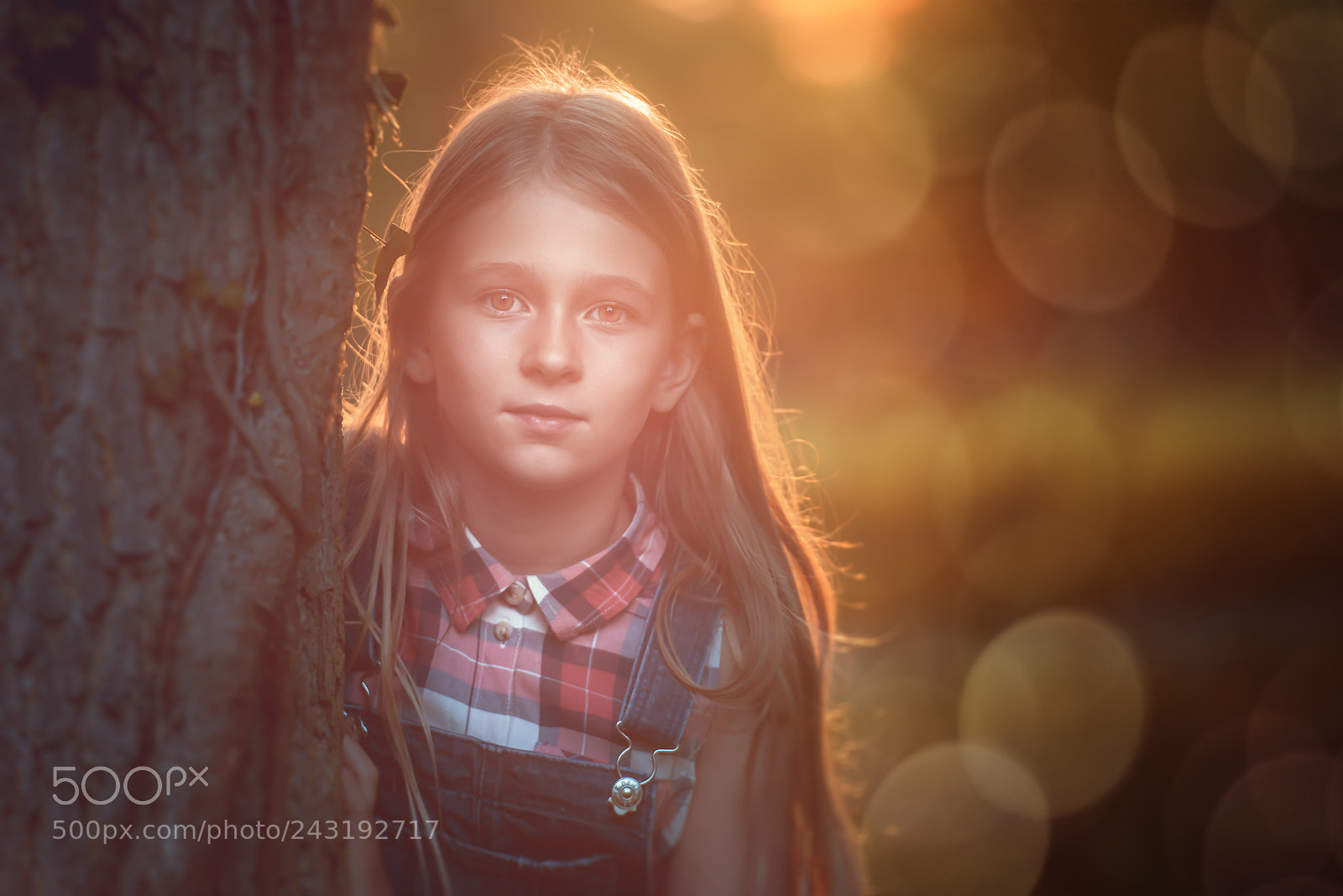 Nikon D810 sample photo. Sunshine photography