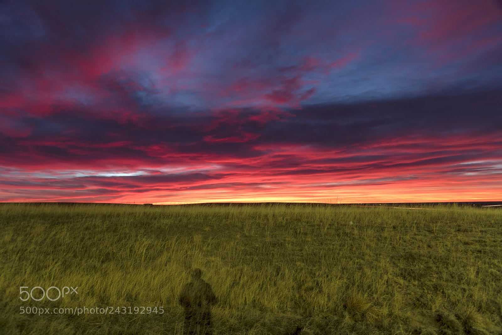 Nikon D850 sample photo. Lonely sunrise photography