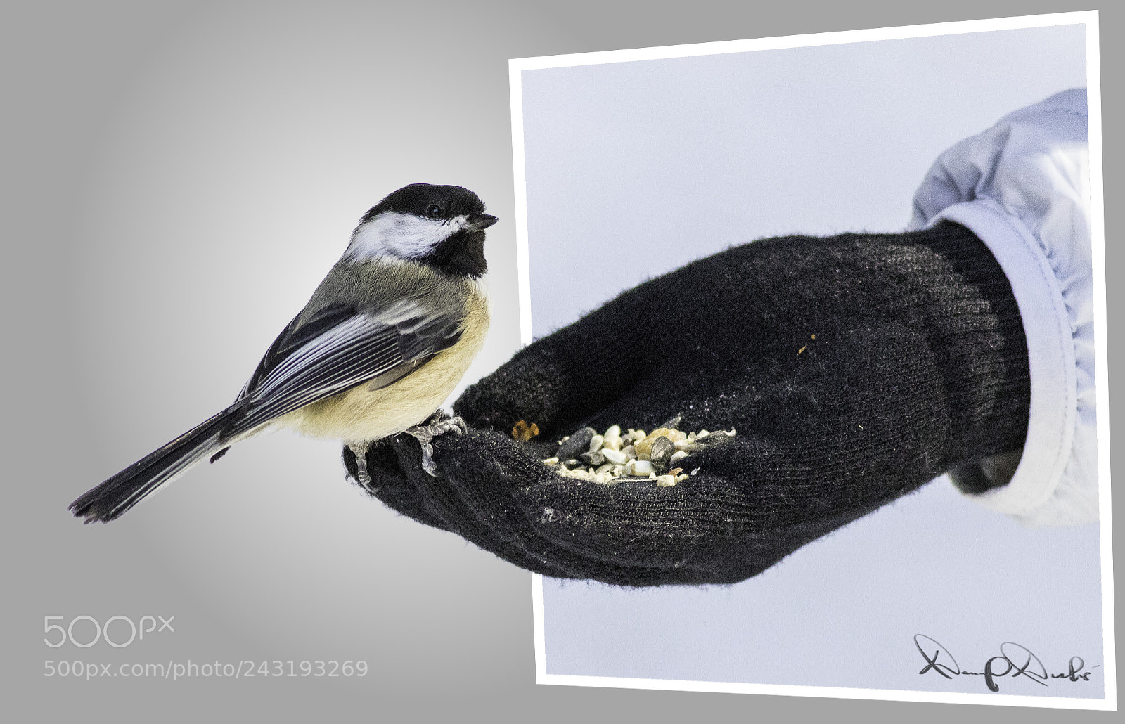 Canon EOS 7D Mark II sample photo. 3d photo photography